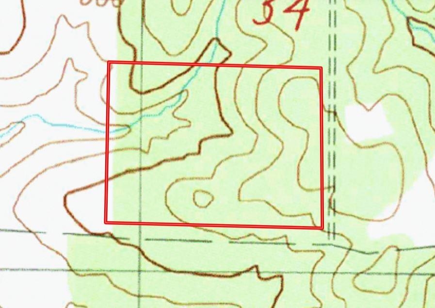 231  Burkwood Trail  Salem, AR