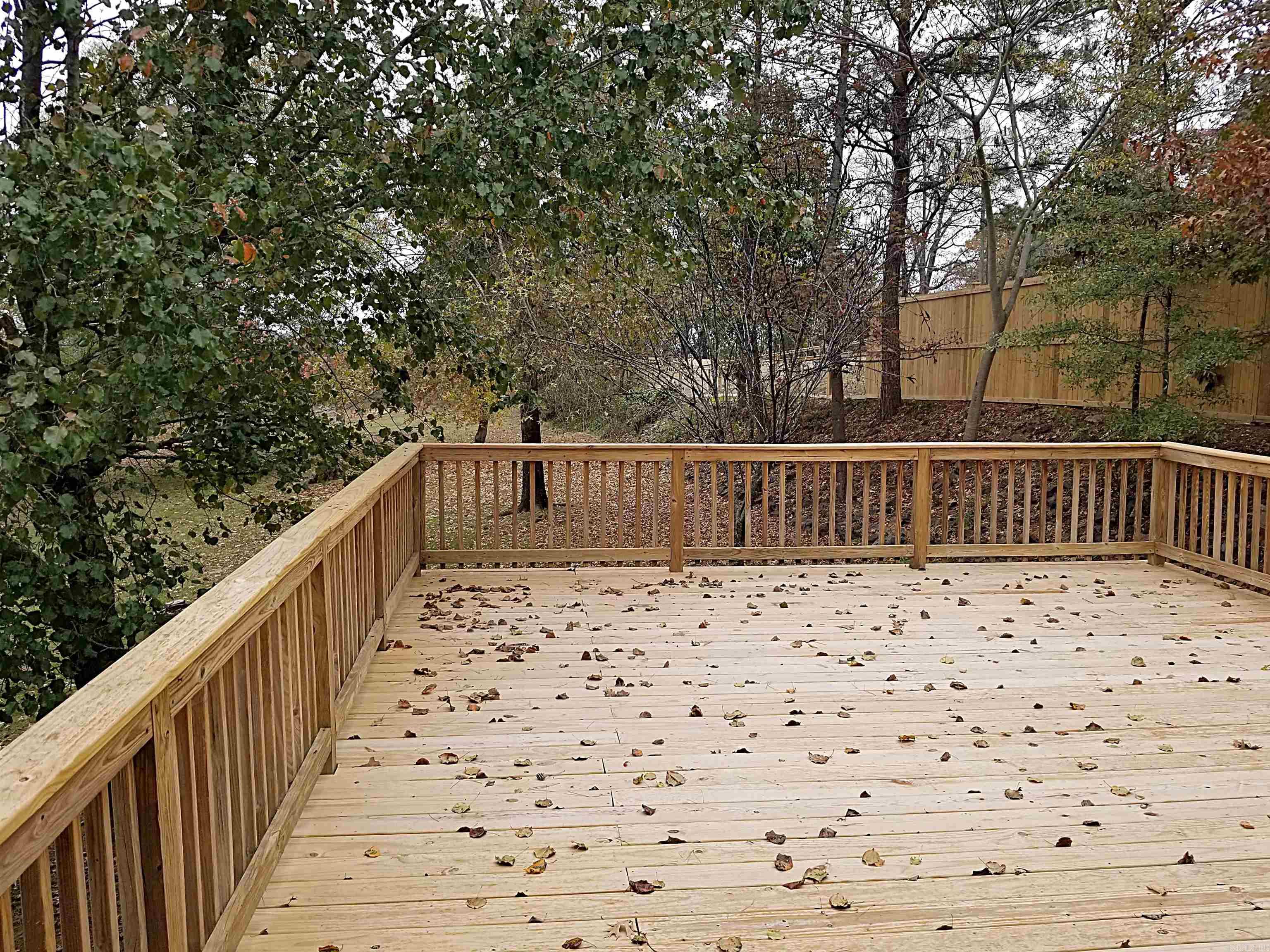186  VANADIUM  Hot Springs, AR