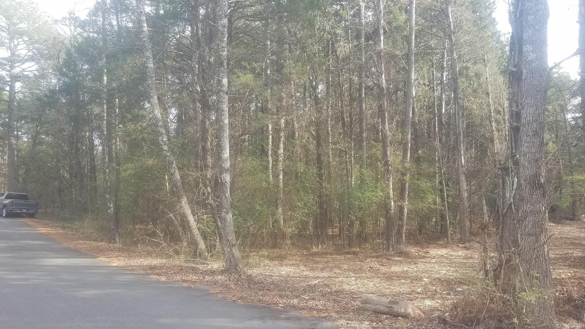6  Bear Trail  Conway, AR
