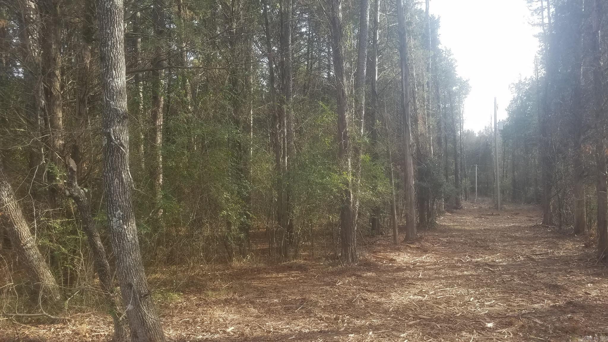 6  Bear Trail  Conway, AR
