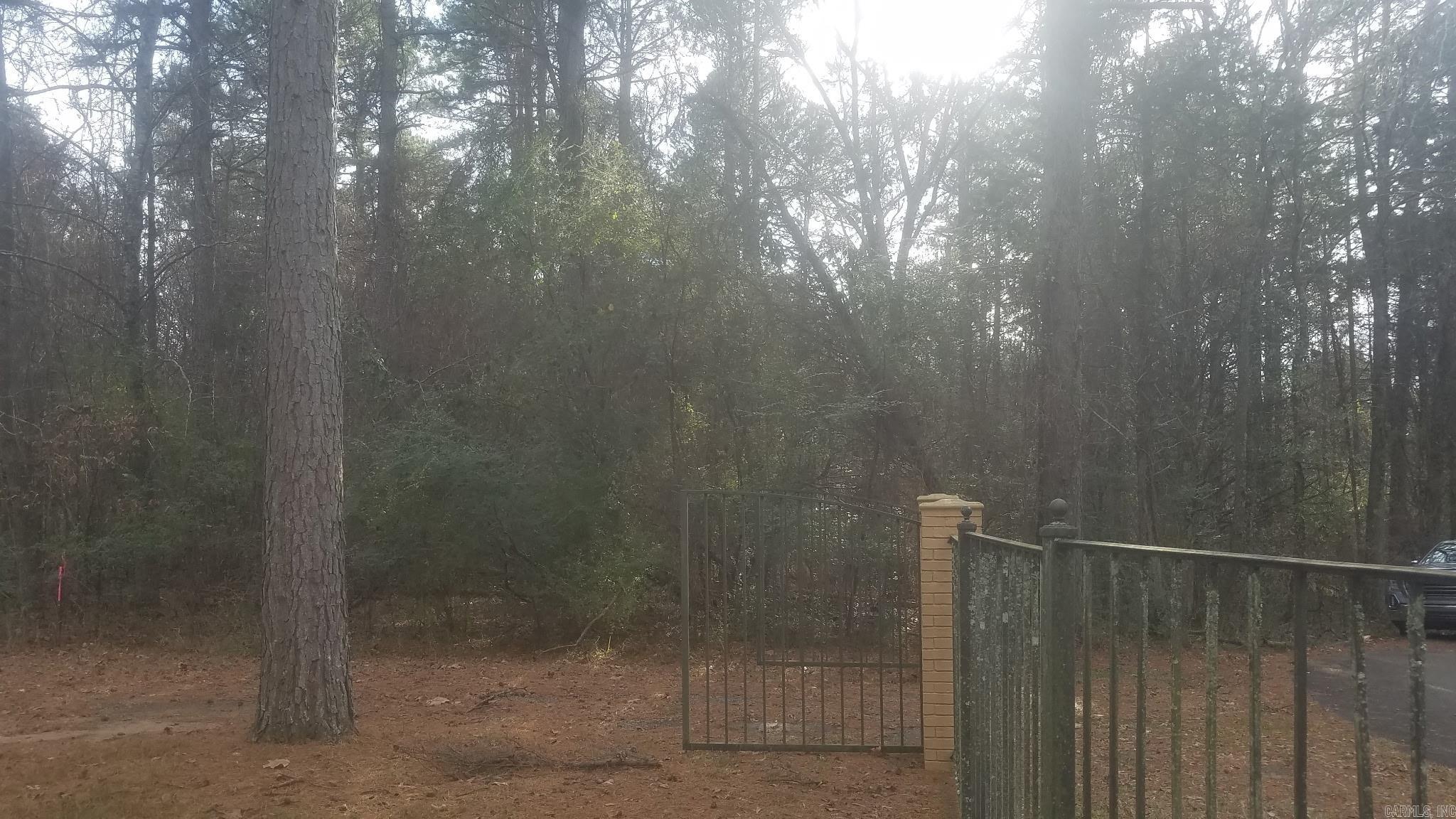 6  Bear Trail  Conway, AR