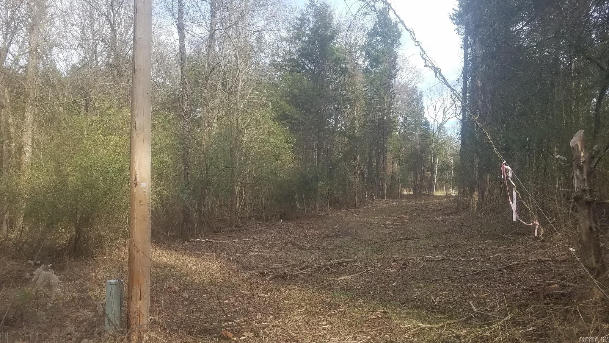 6  Bear Trail  Conway, AR