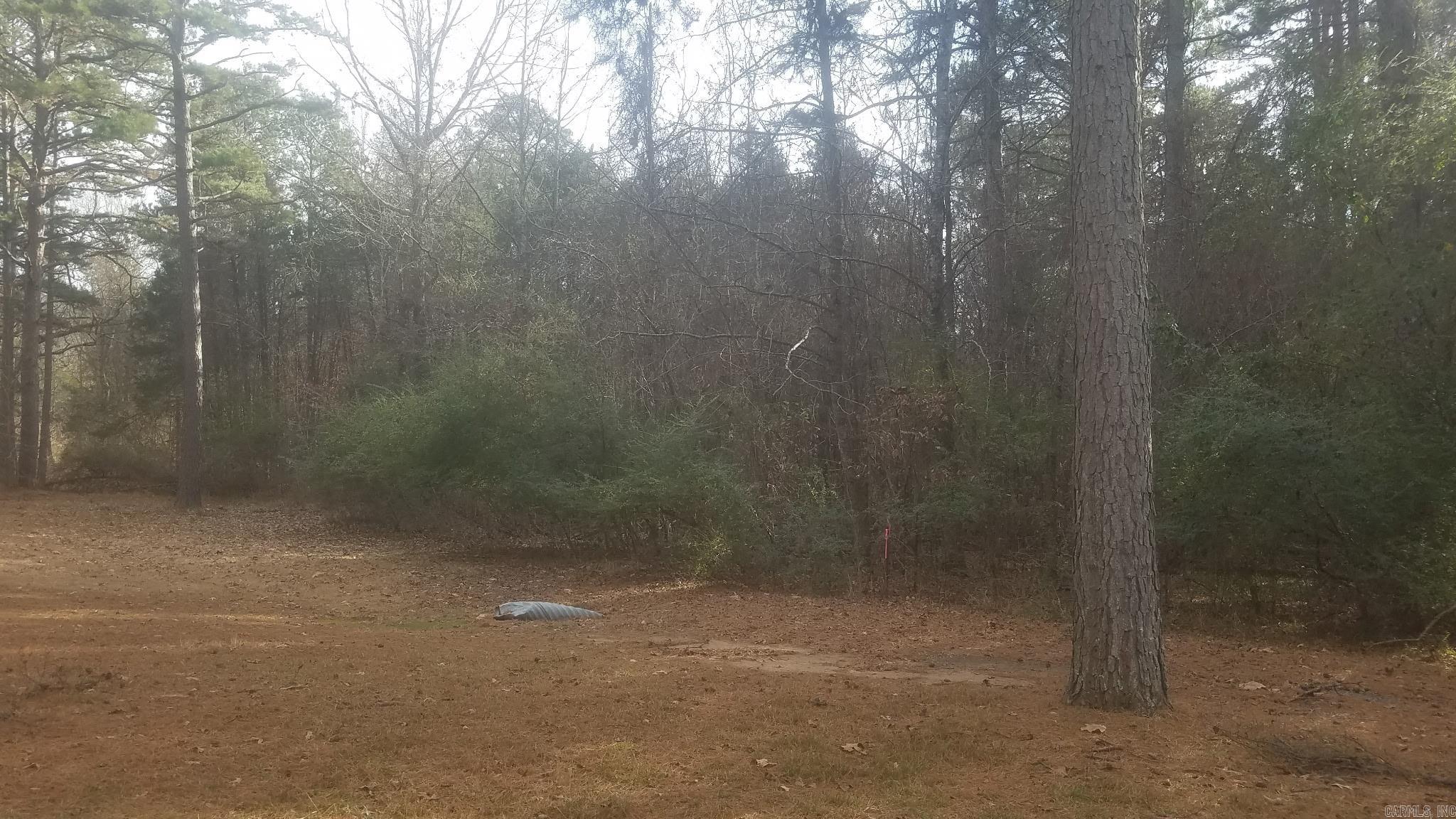 6  Bear Trail  Conway, AR