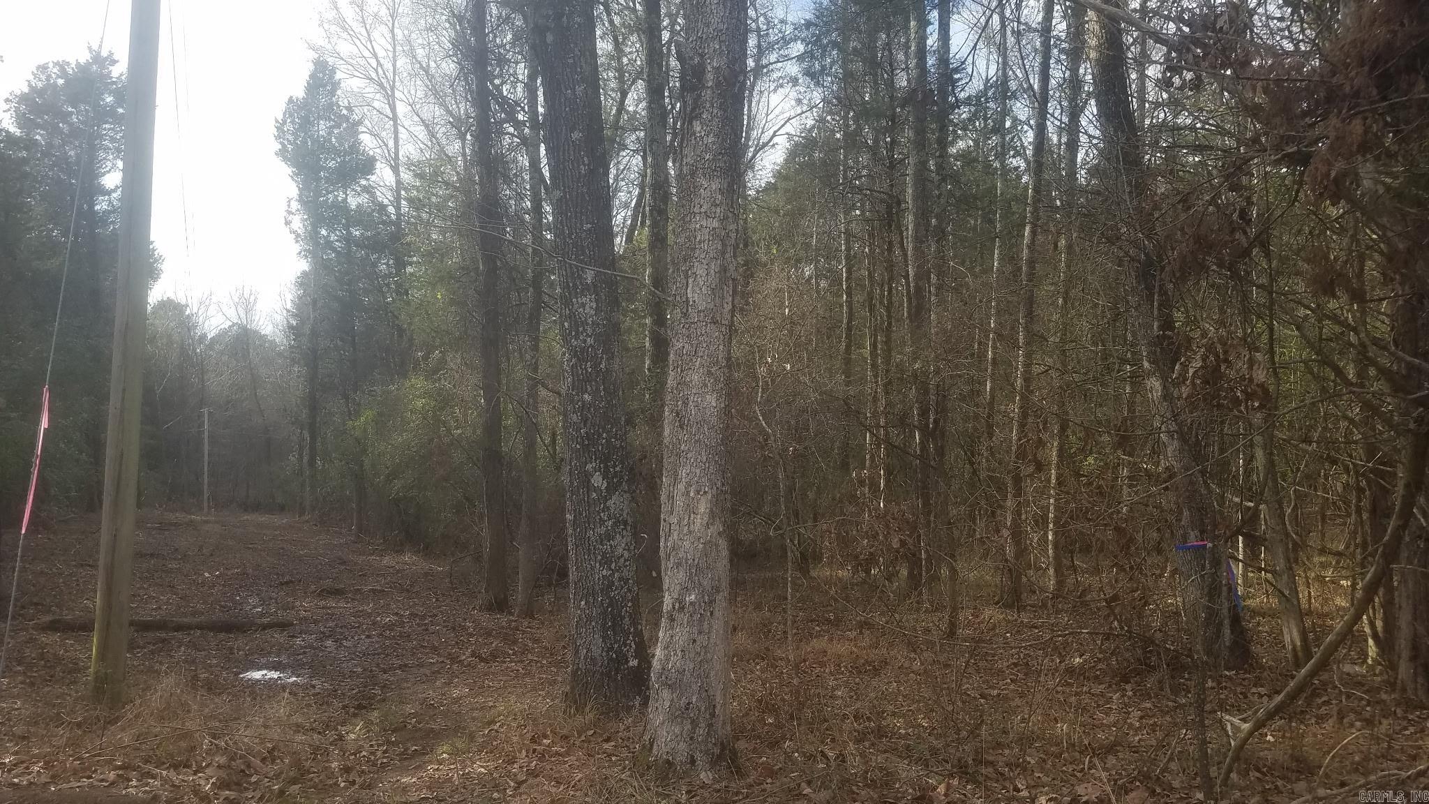 6  Bear Trail  Conway, AR