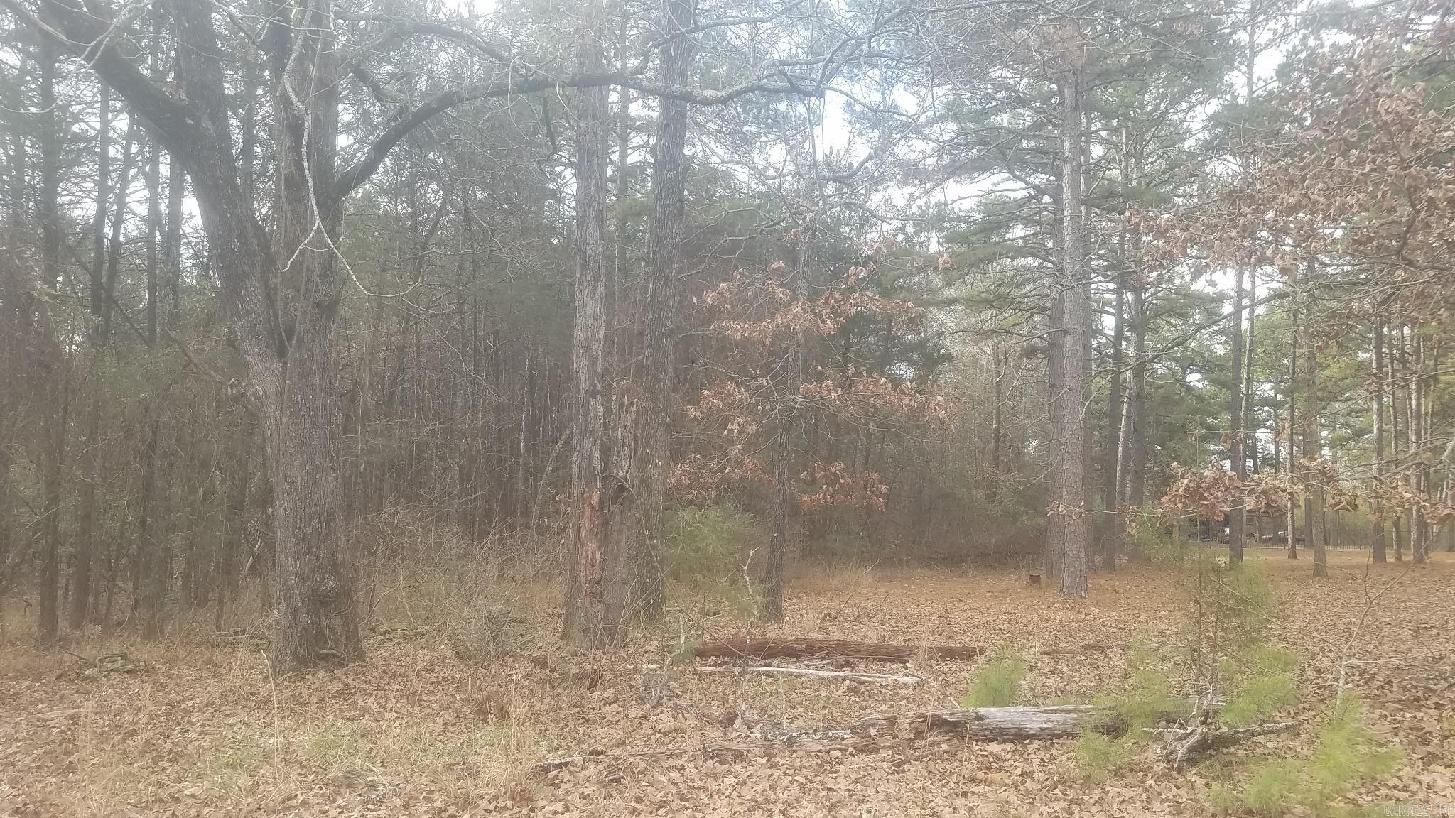 6  Bear Trail  Conway, AR