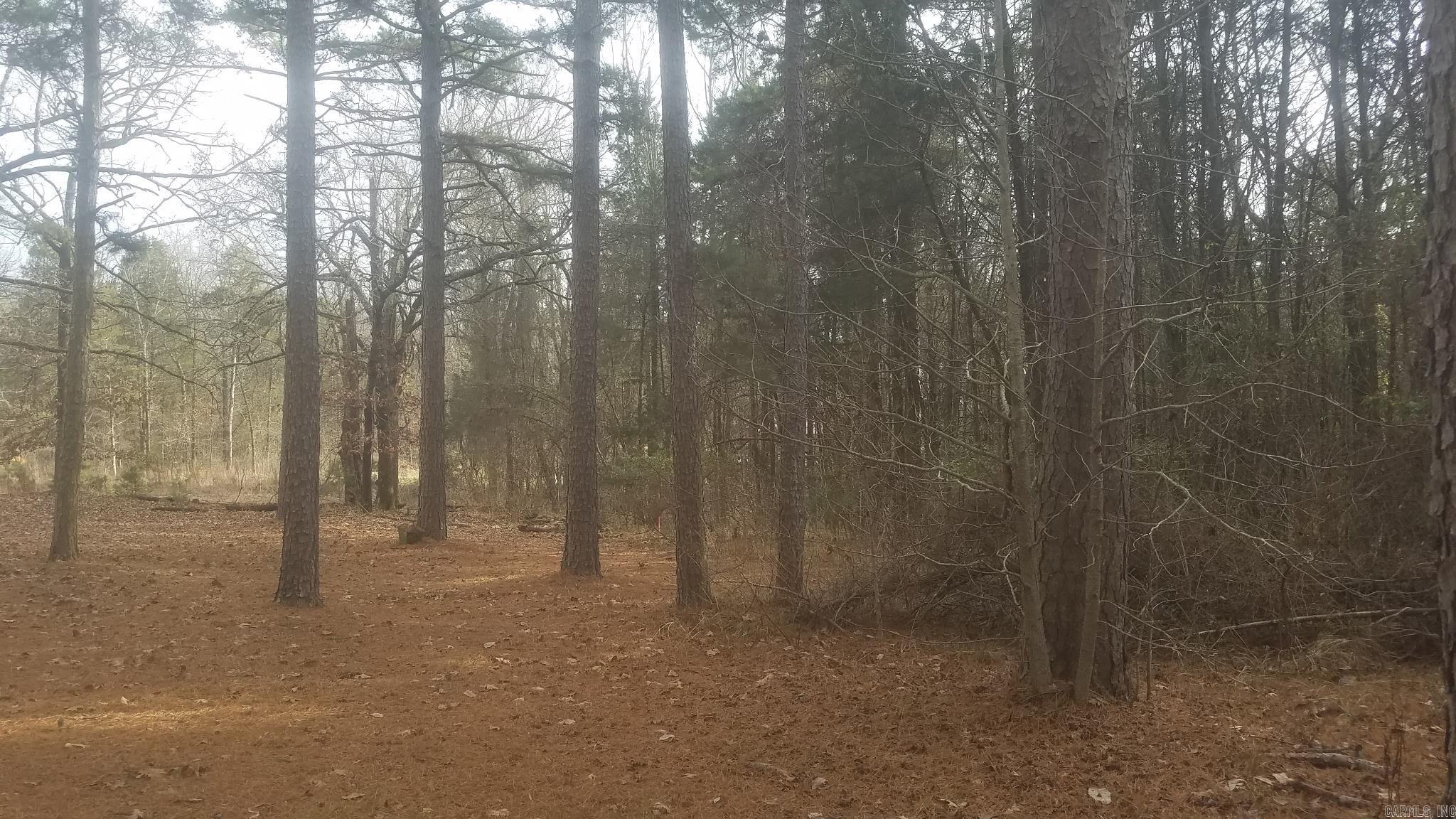 6  Bear Trail  Conway, AR