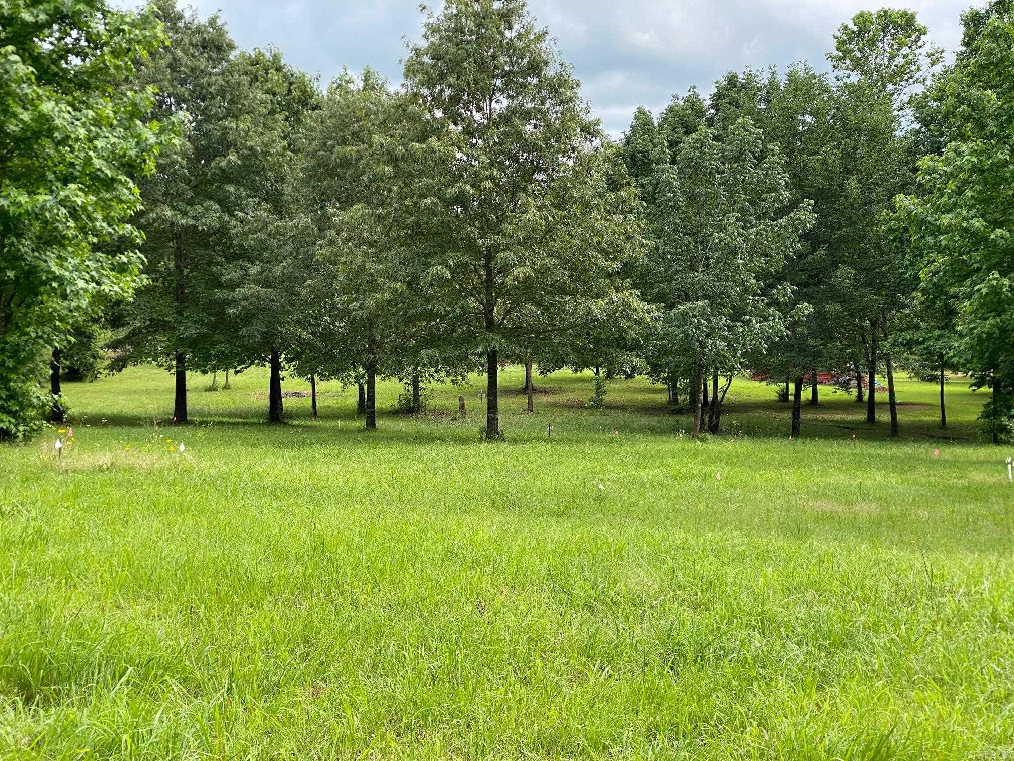   Ridge CR  Quitman, AR