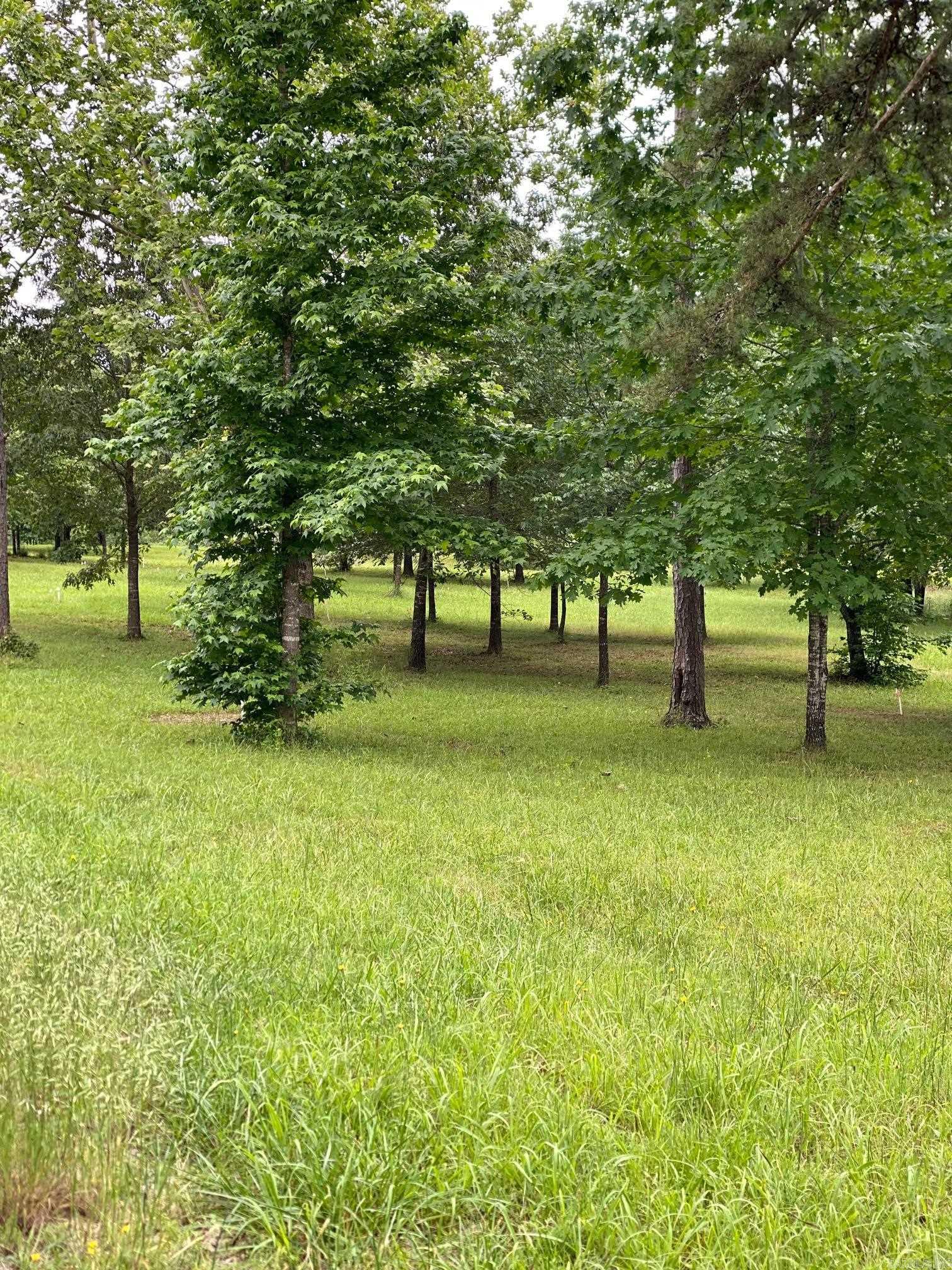   Ridge CR  Quitman, AR