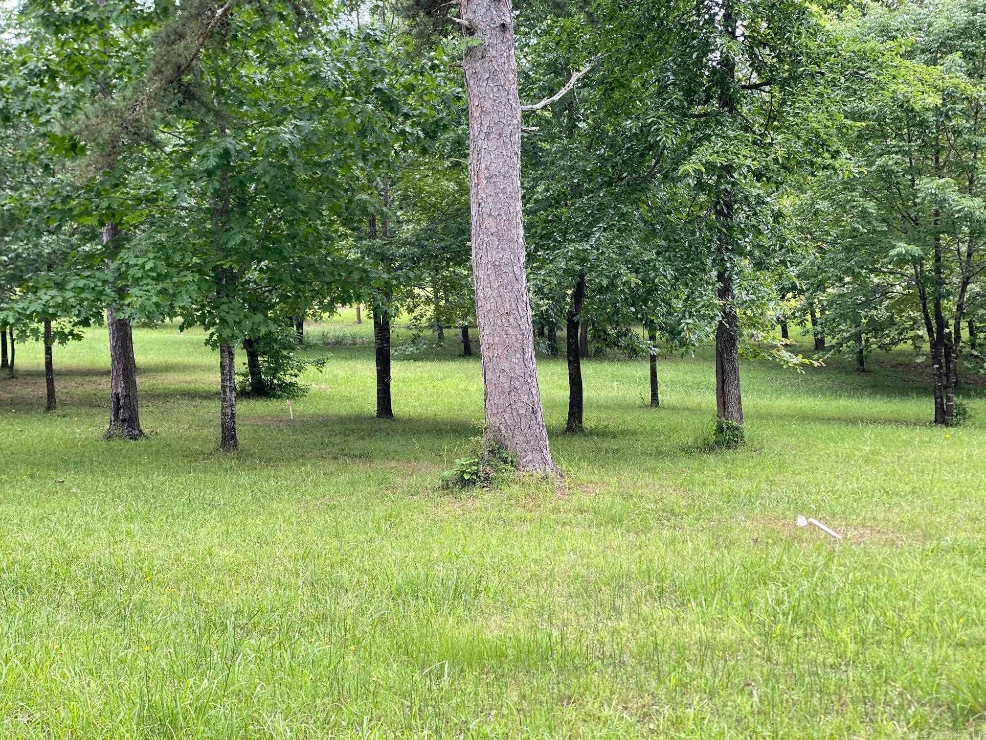  Ridge CR  Quitman, AR
