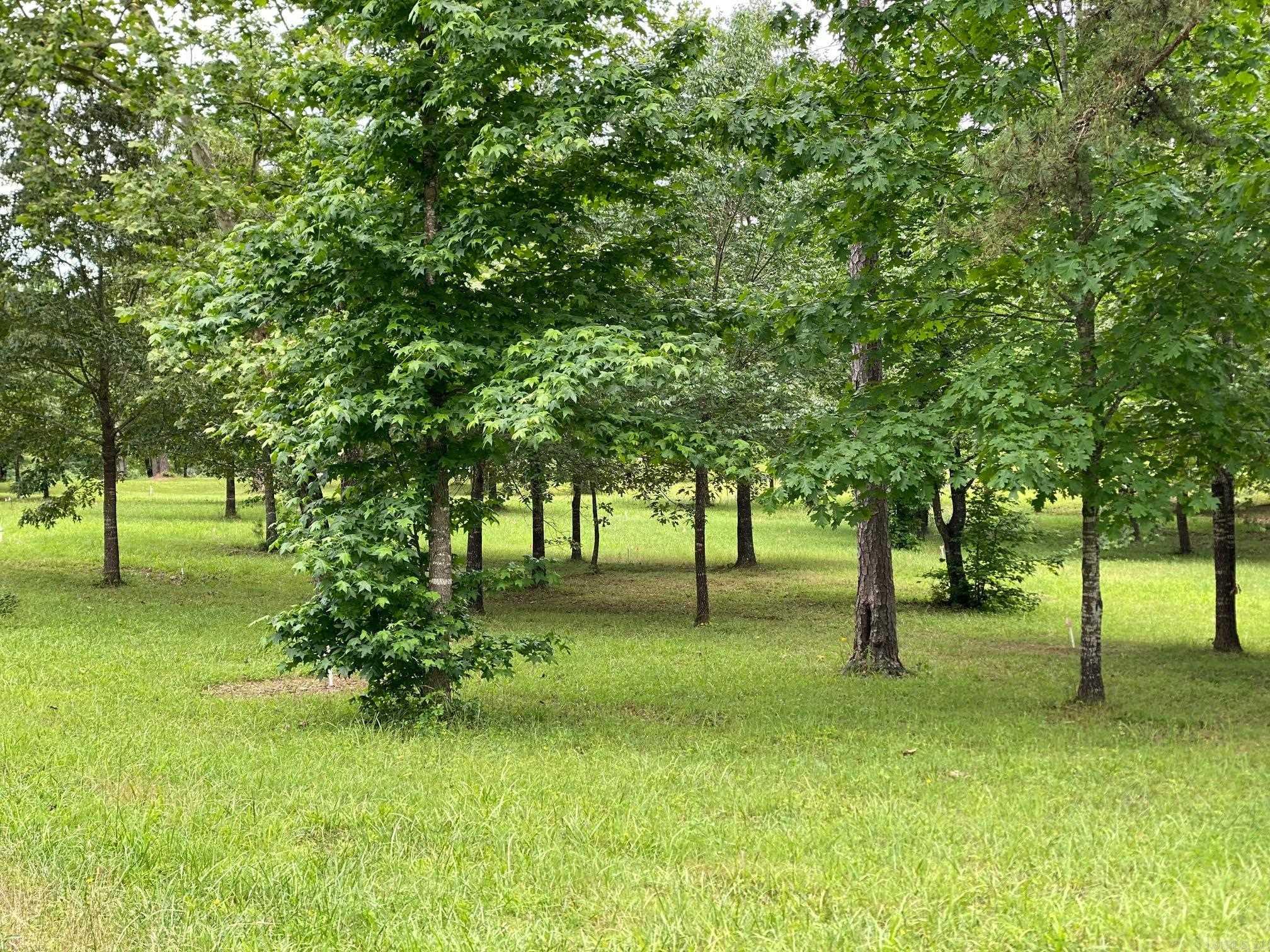   Ridge CR  Quitman, AR