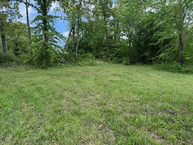 2207 E Diamond Lake Drive  Horseshoe Bend, AR