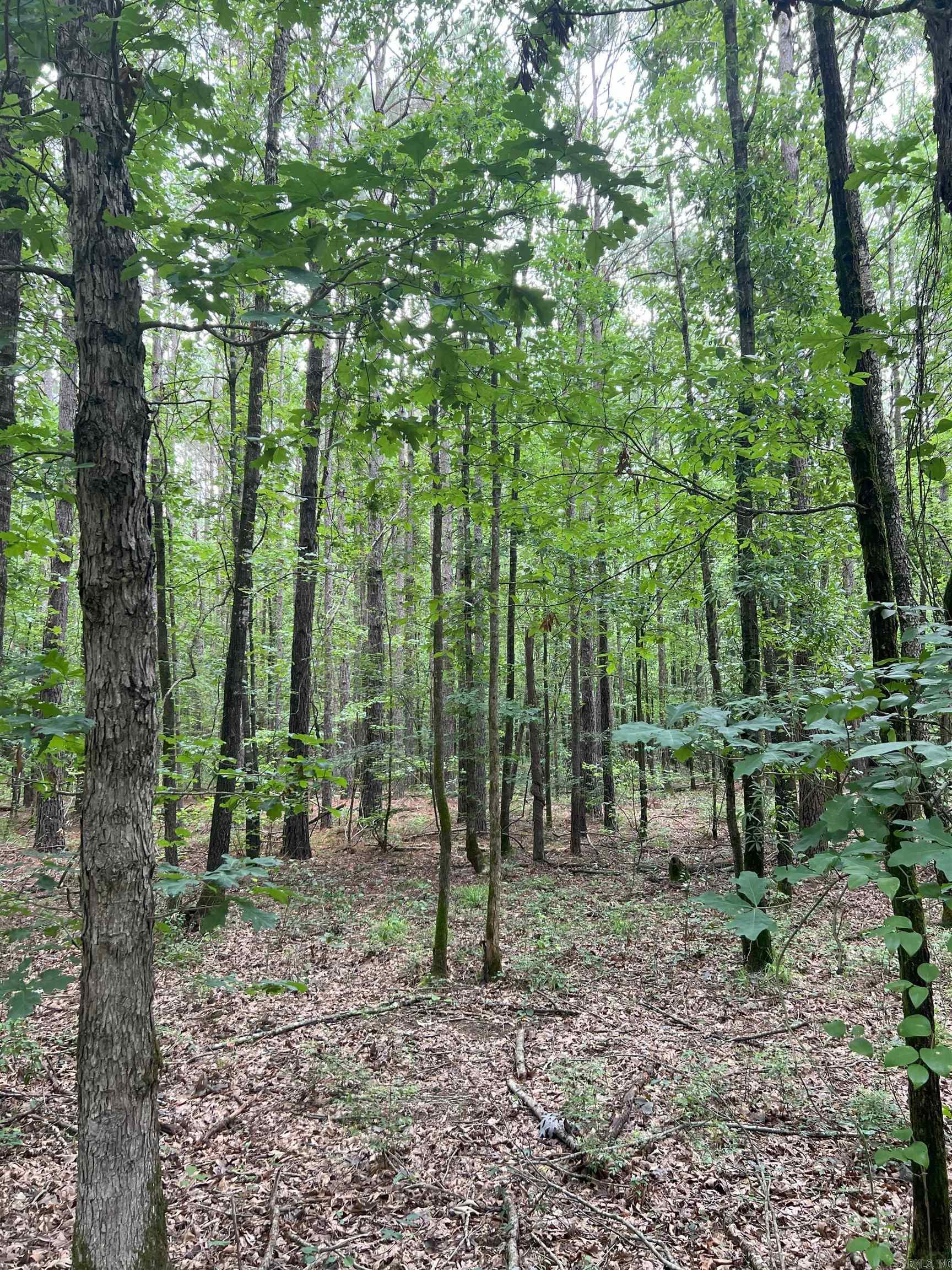 00  Alexander Road  Star City, AR