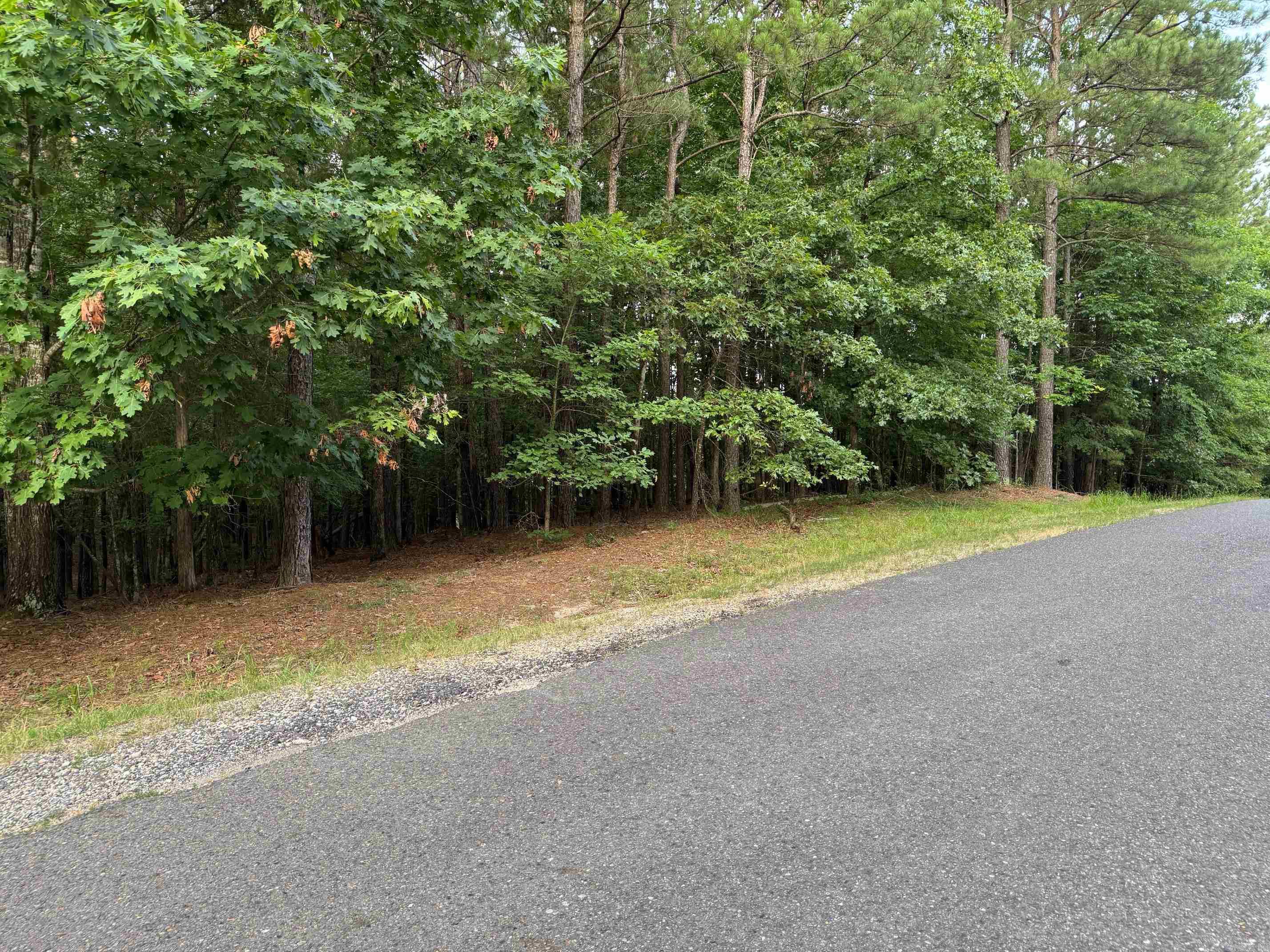 1 ARTURO LANE  Hot Springs Village, AR