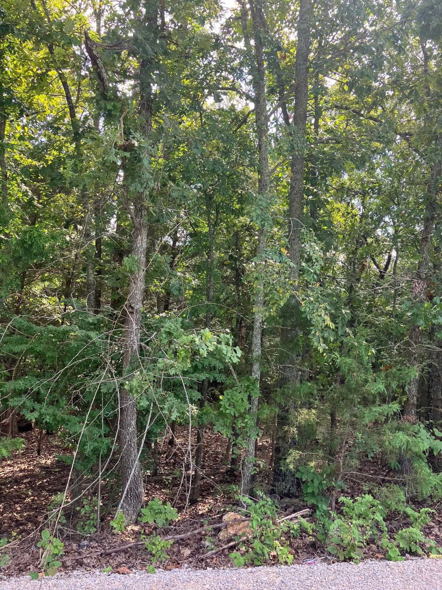 Lots 95 & 96  Larkspur Lane  Mountain Home, AR