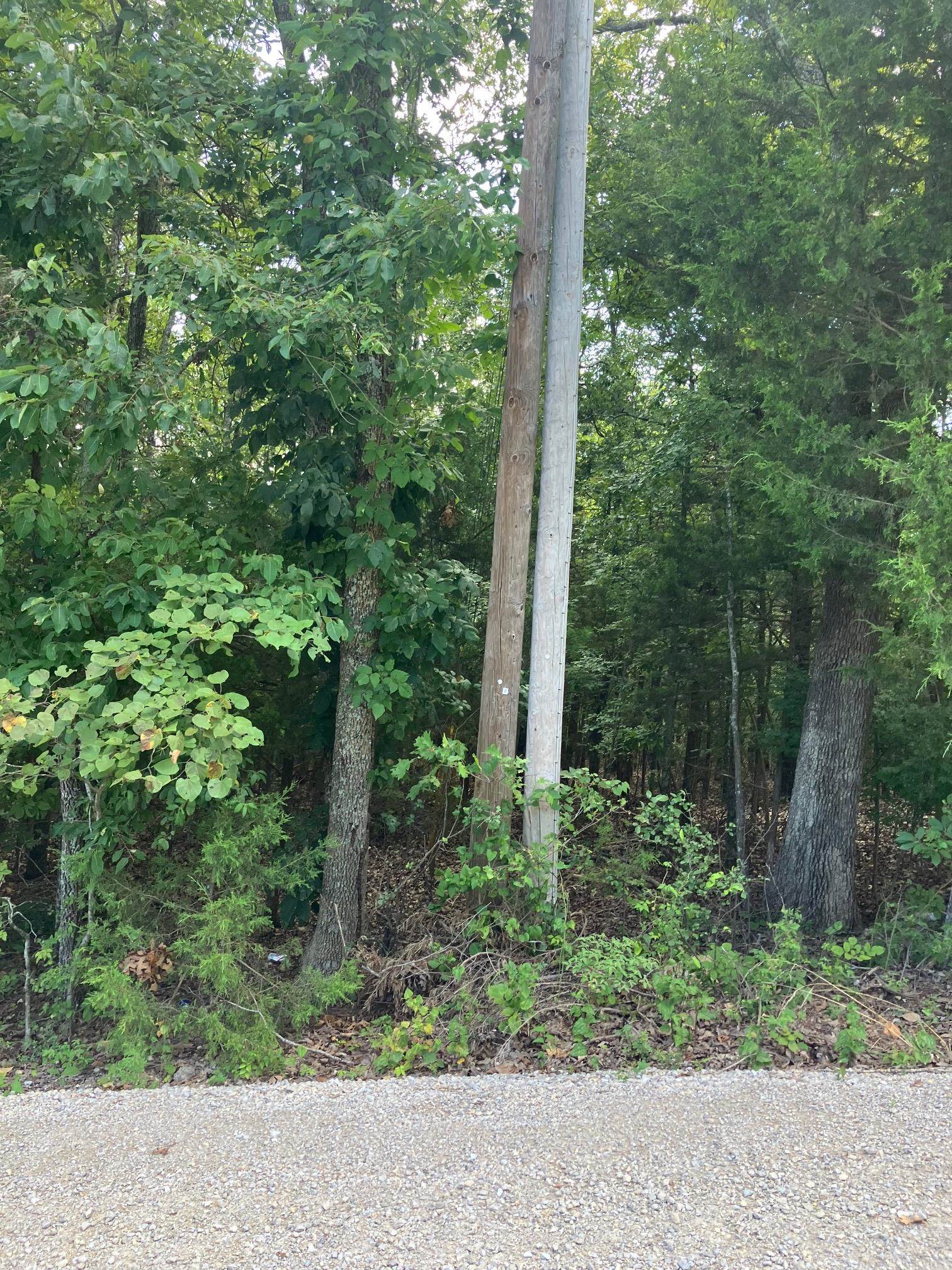 Lots 95 & 96  Larkspur Lane  Mountain Home, AR
