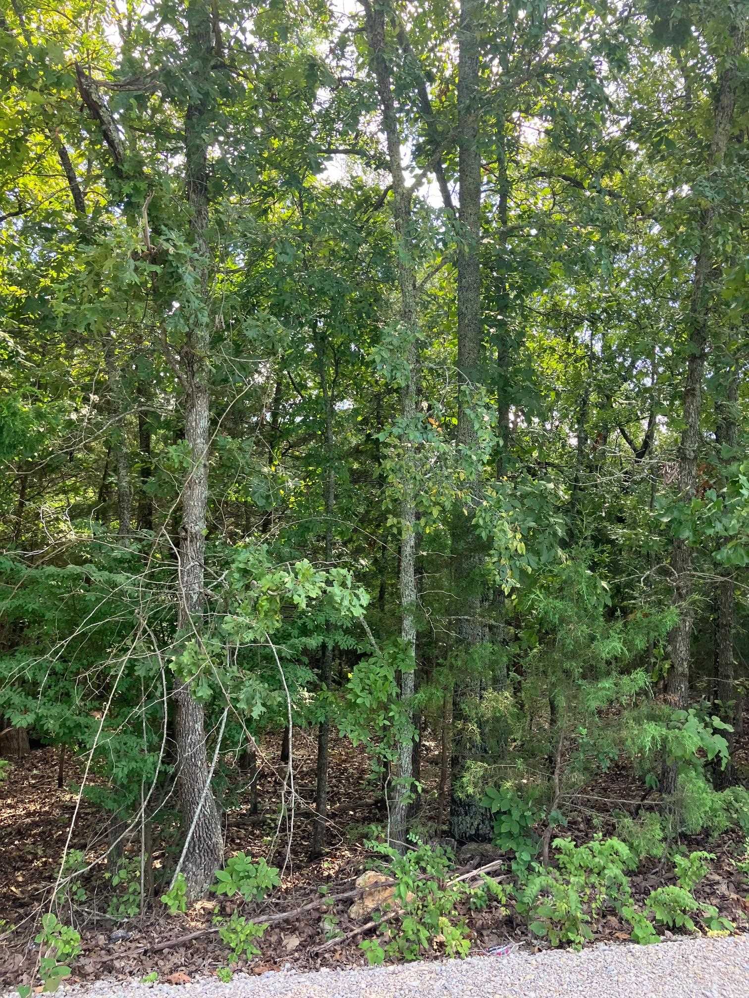 Lots 95 & 96  Larkspur Lane  Mountain Home, AR