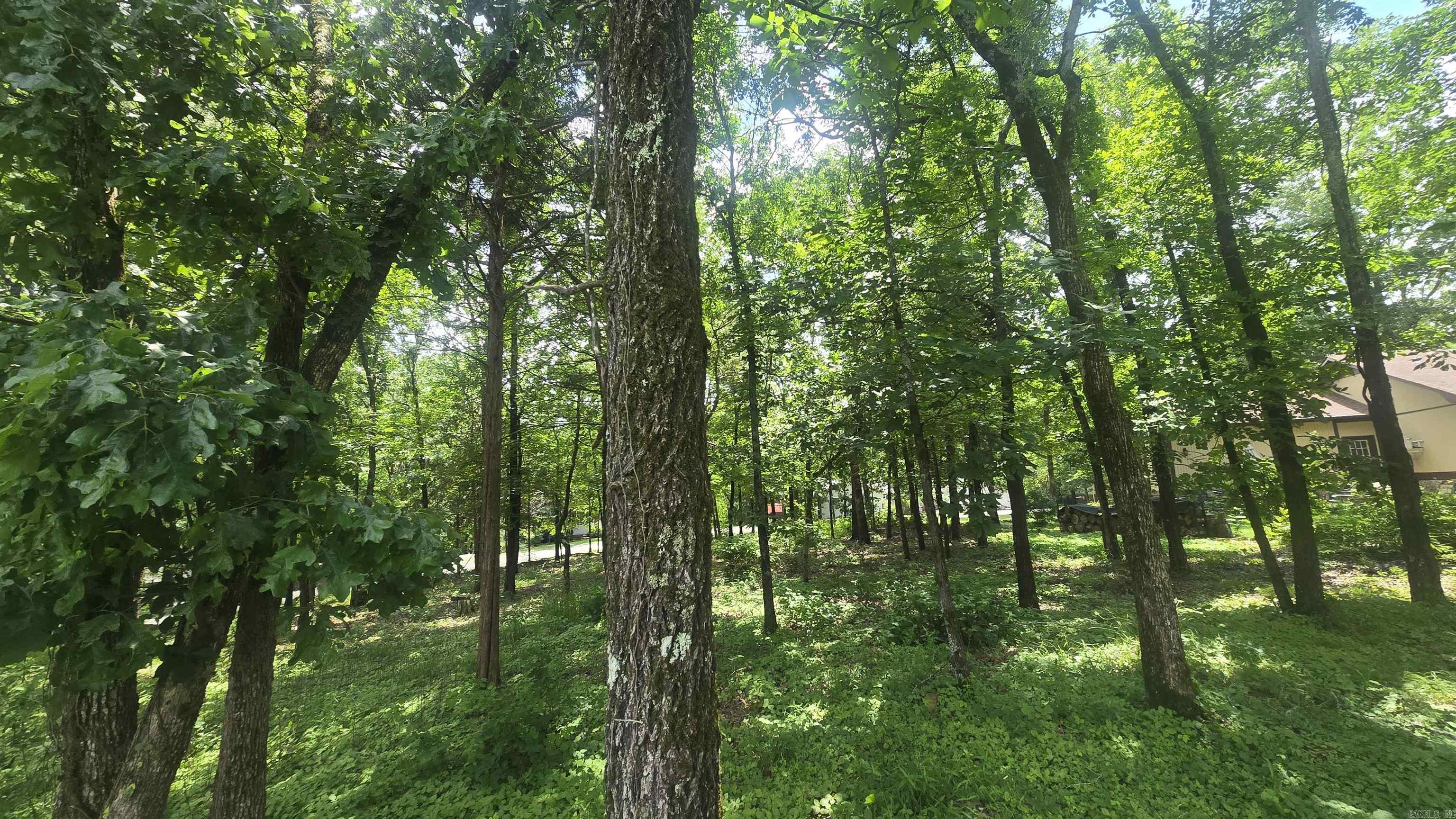 Lot 76  Crossbow  Fairfield Bay, AR