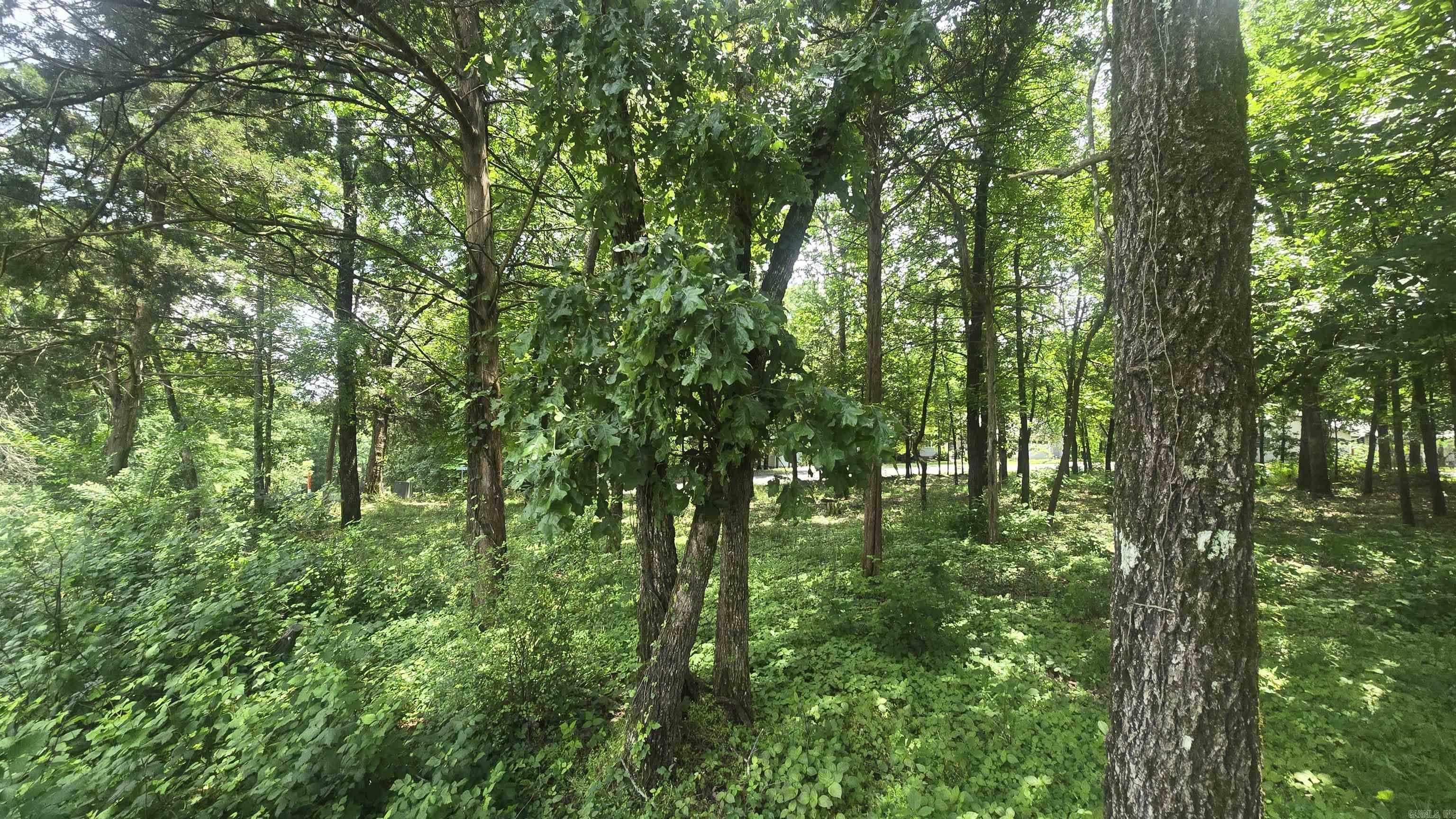 Lot 76  Crossbow  Fairfield Bay, AR