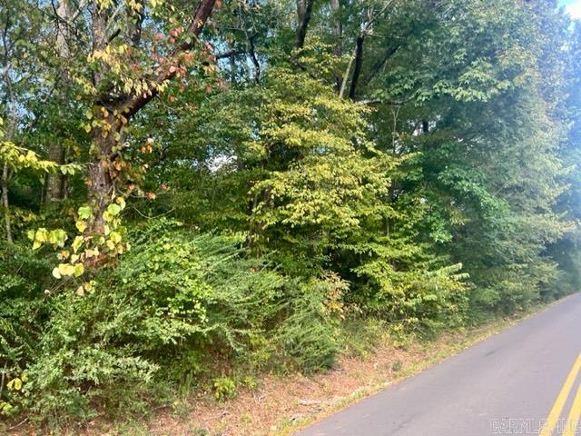 000  Cozy Acres  Mountain Pine, AR