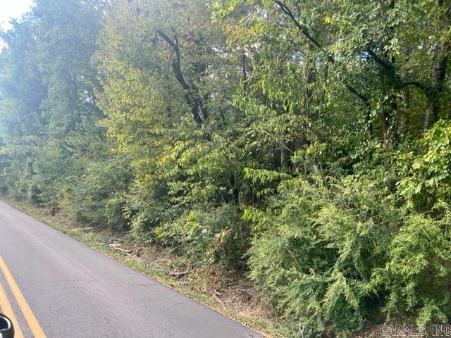 000  Cozy Acres  Mountain Pine, AR
