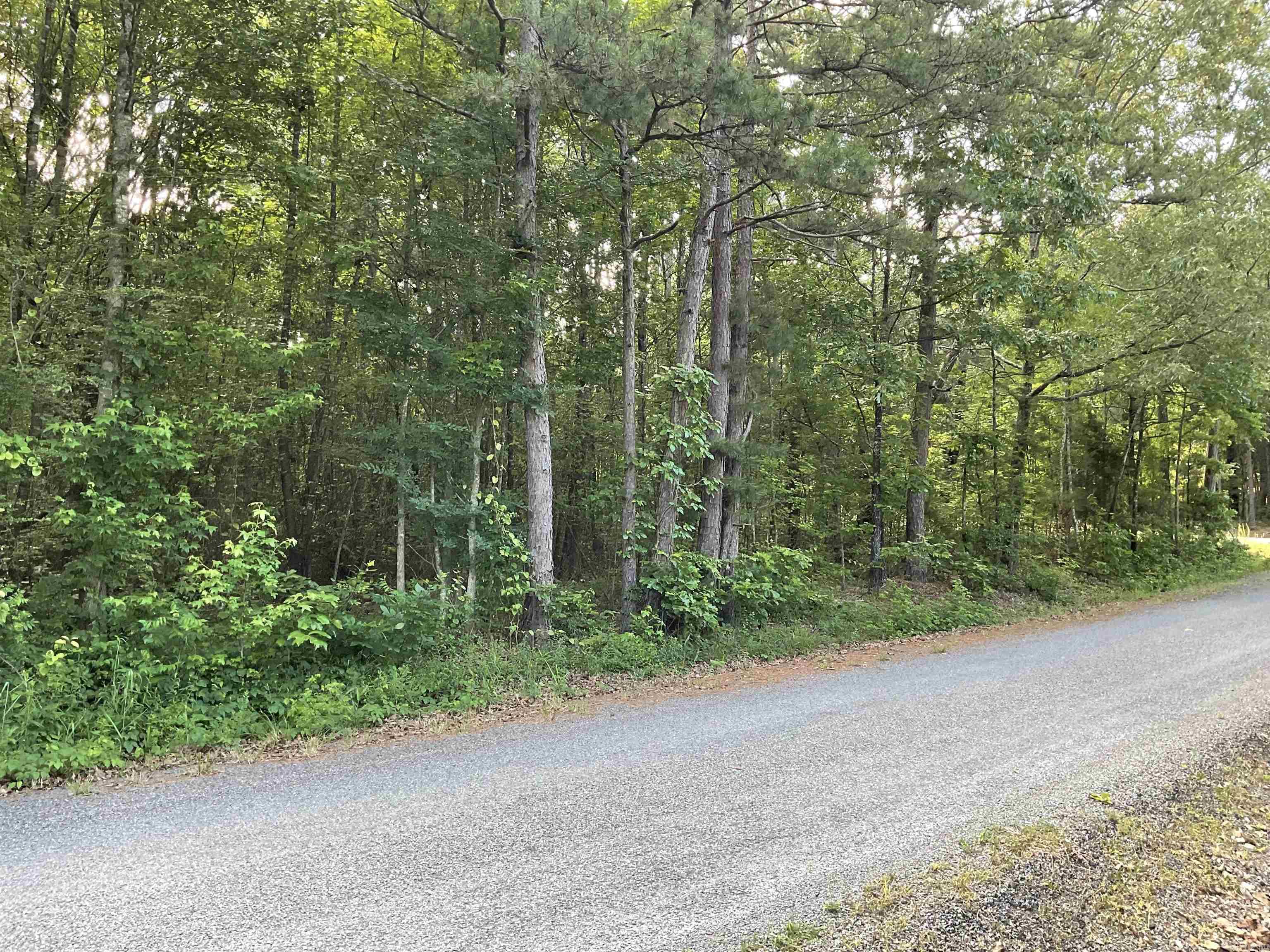 78-81 Jaquero  Greers Ferry, AR