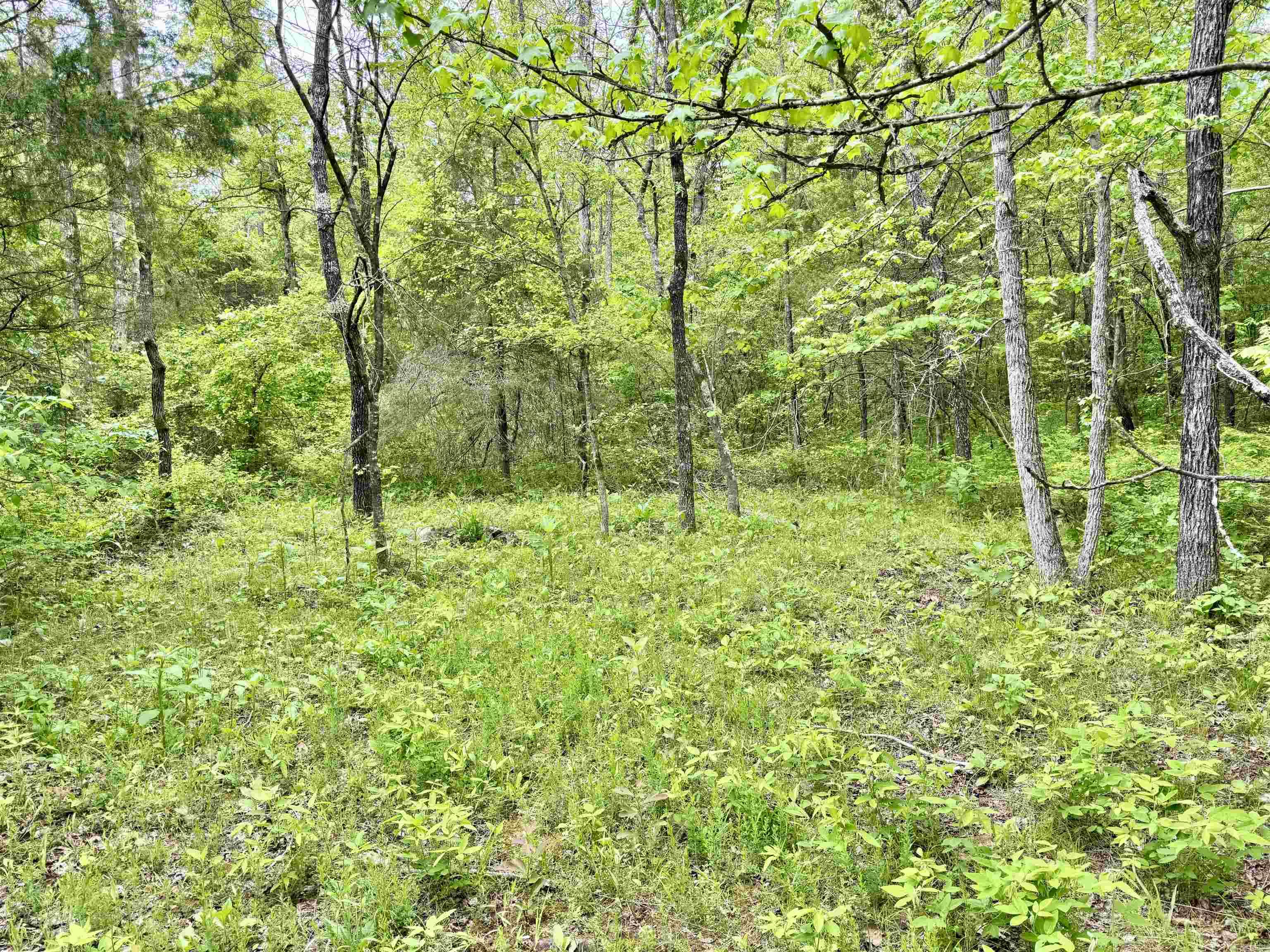 685  Kennedy Rd.  Leslie, AR