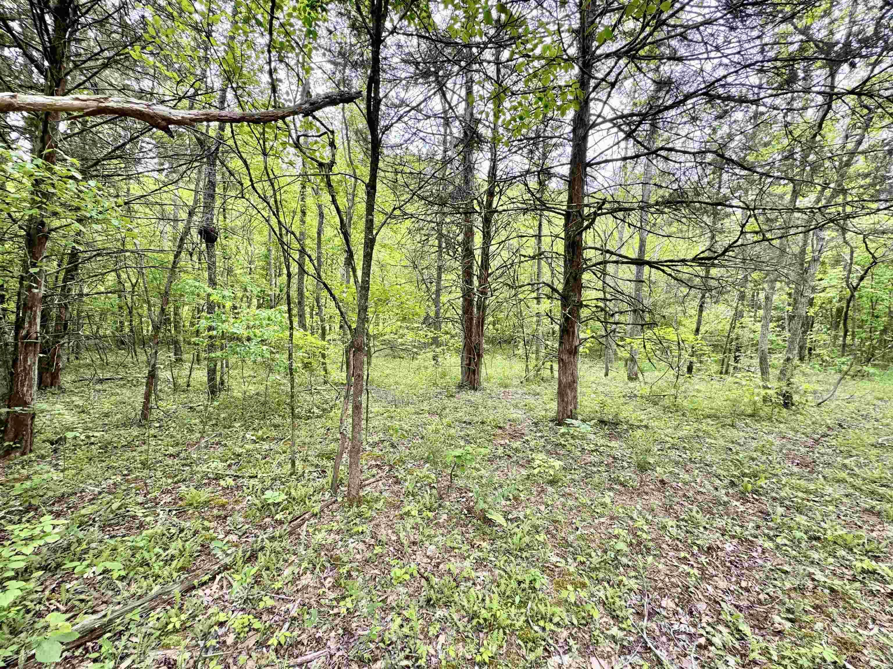 685  Kennedy Rd.  Leslie, AR