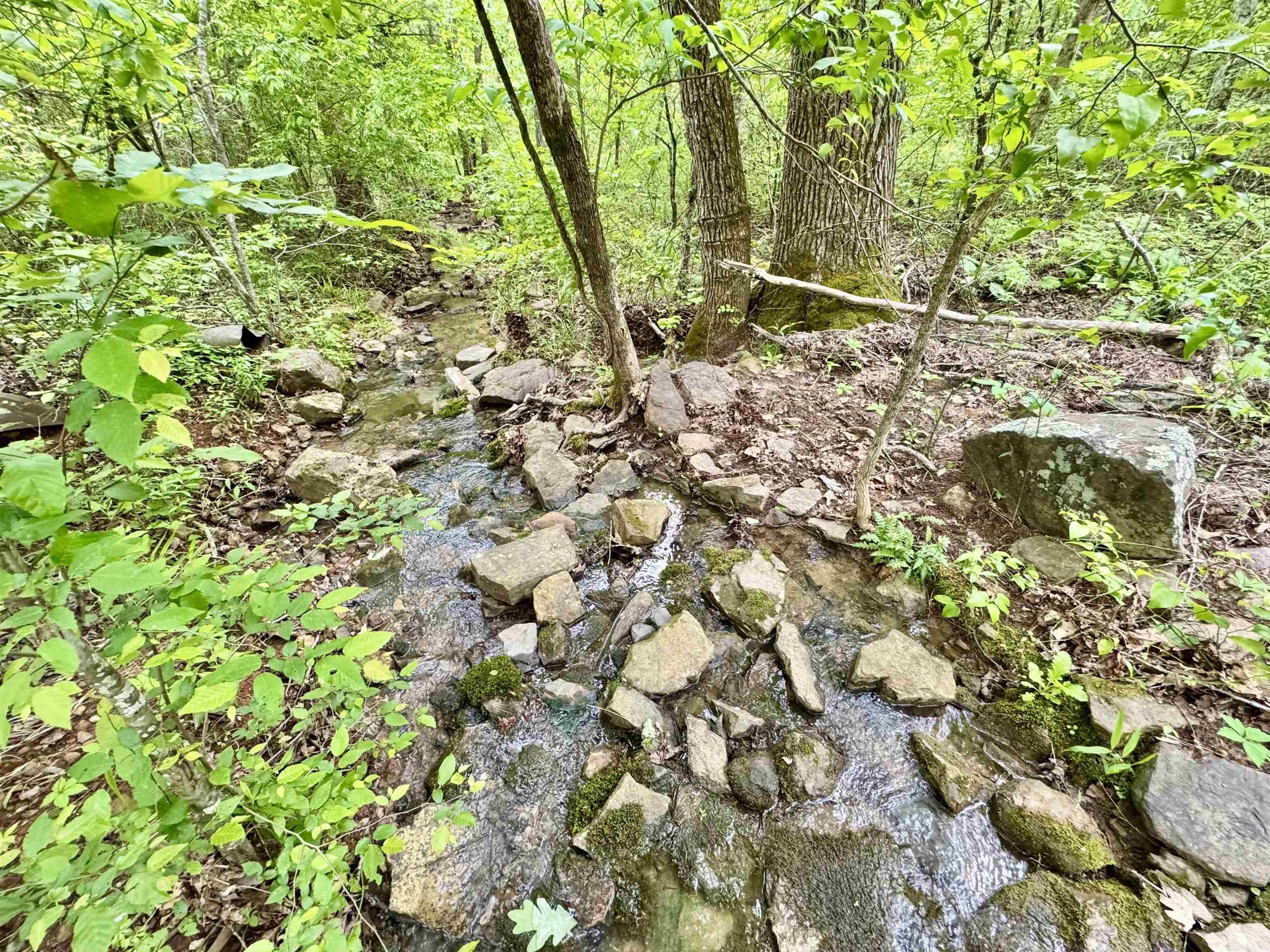 685  Kennedy Rd.  Leslie, AR