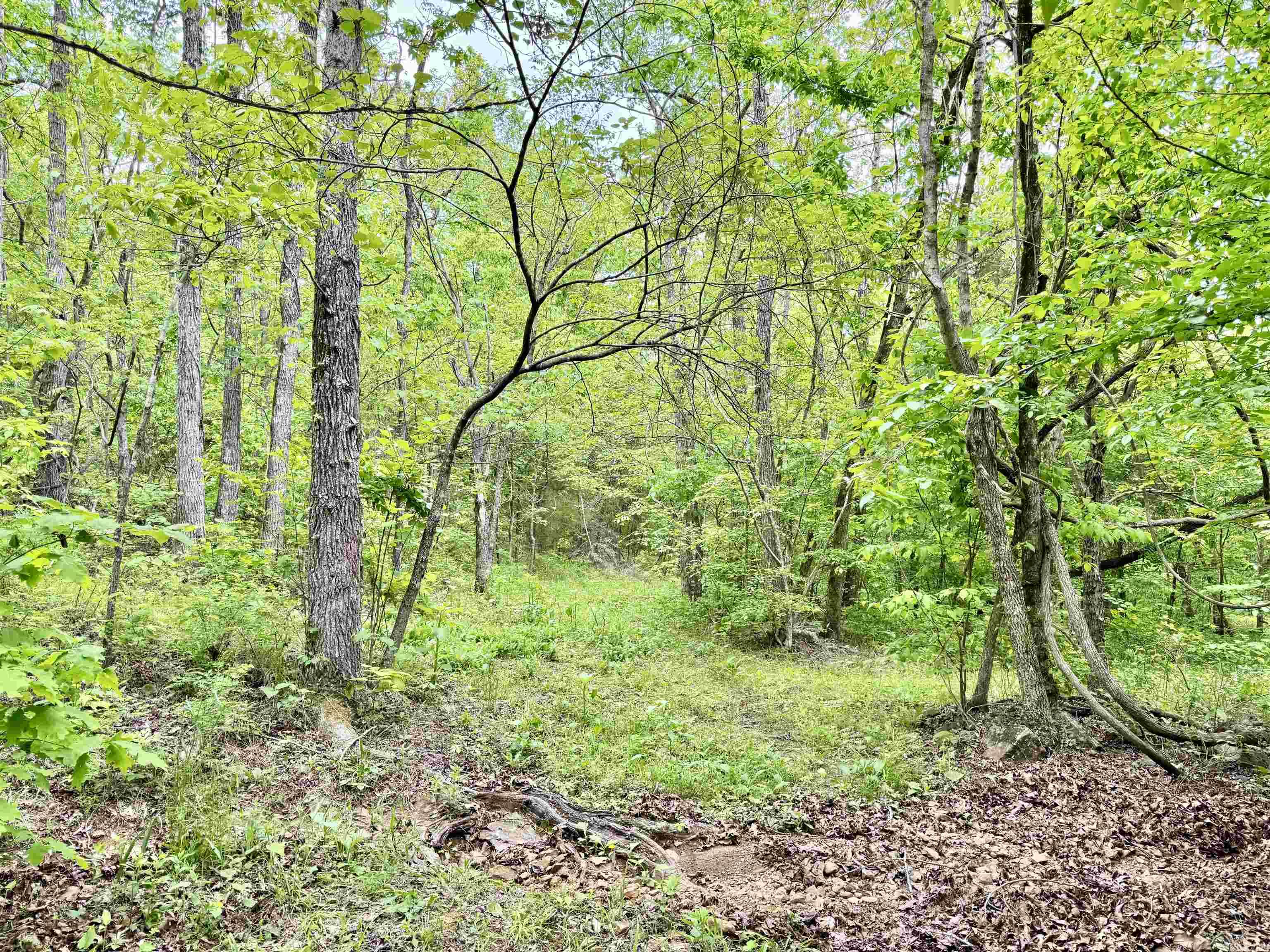 685  Kennedy Rd.  Leslie, AR