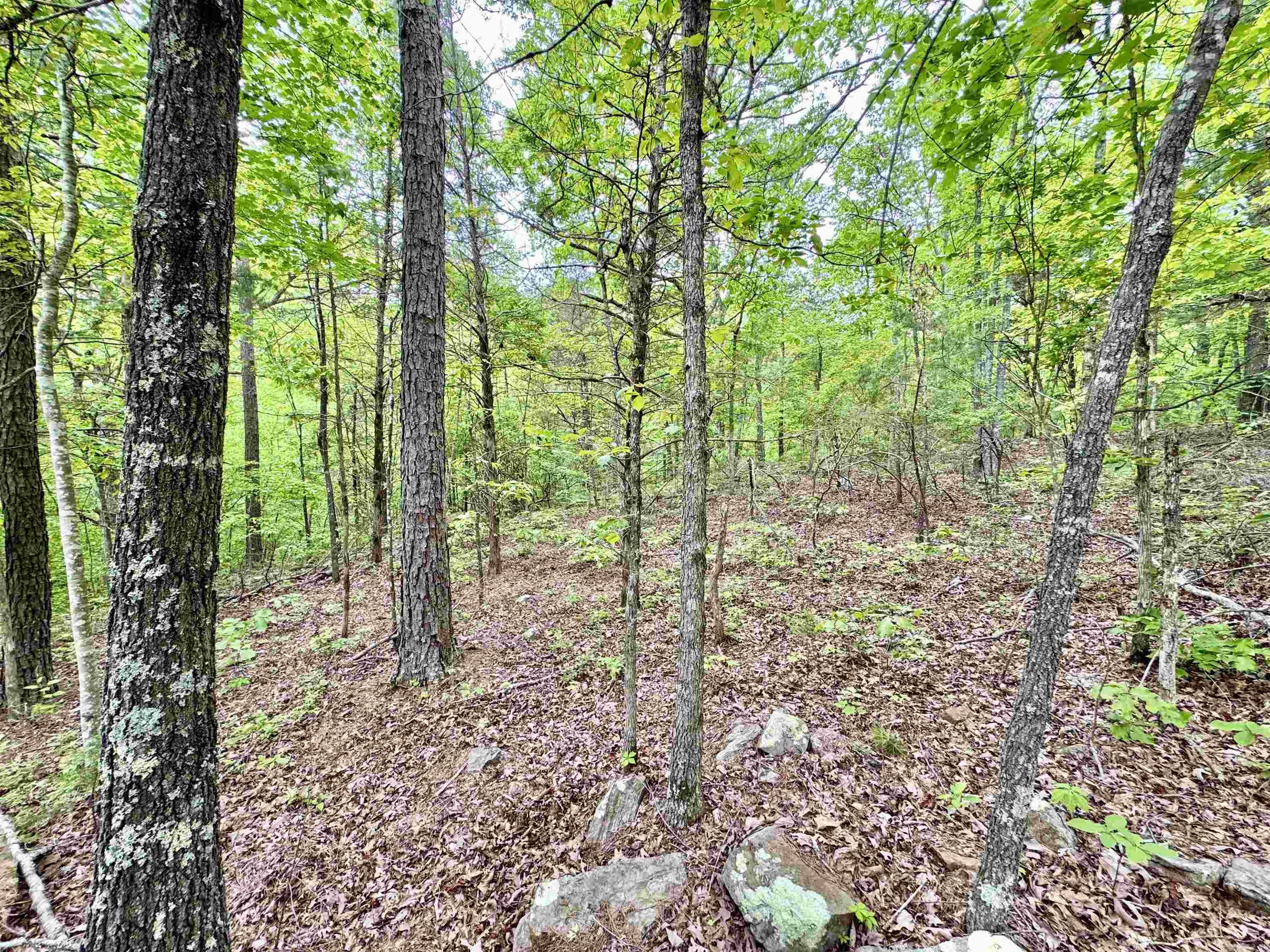 685  Kennedy Rd.  Leslie, AR