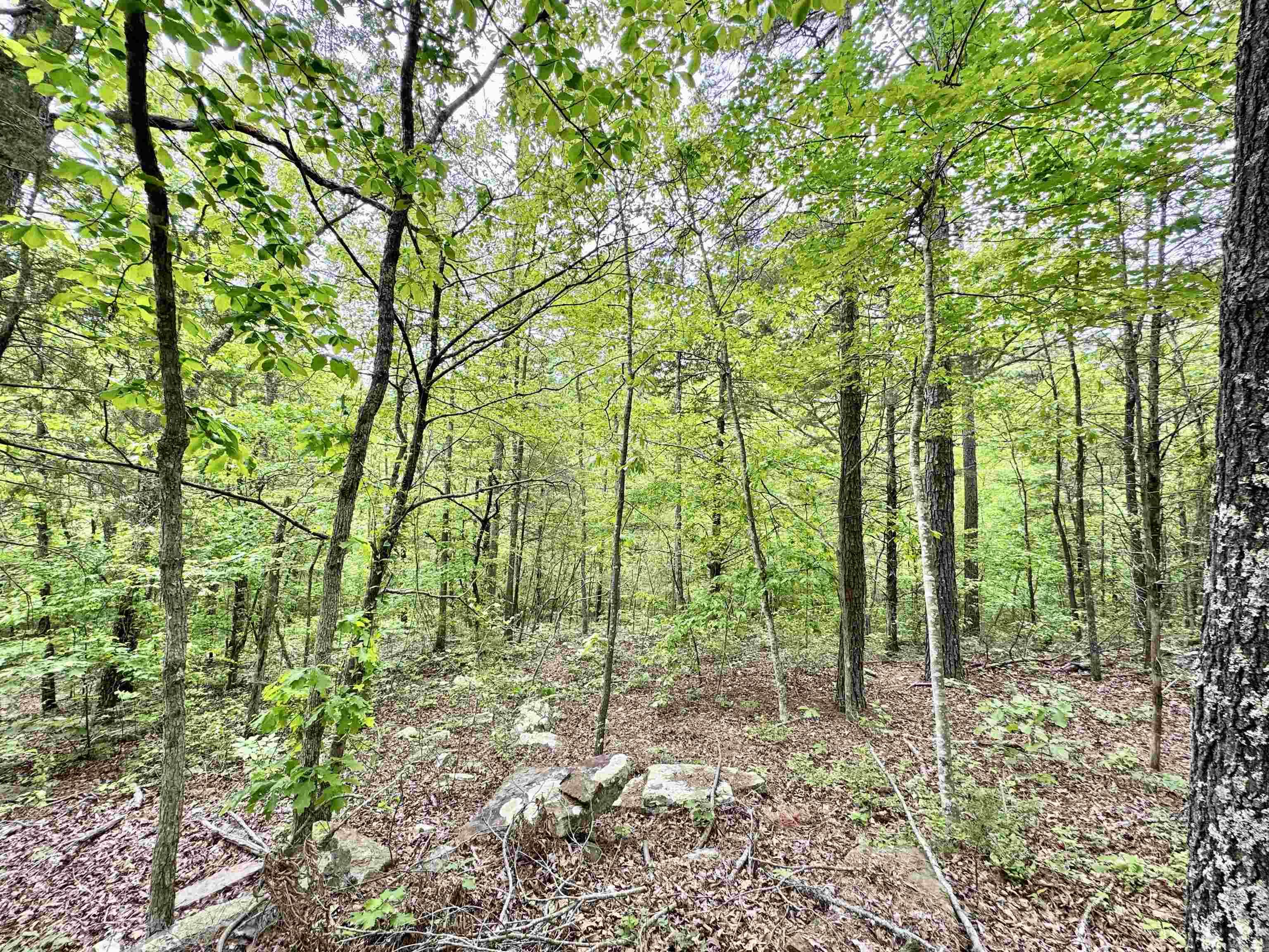 685  Kennedy Rd.  Leslie, AR