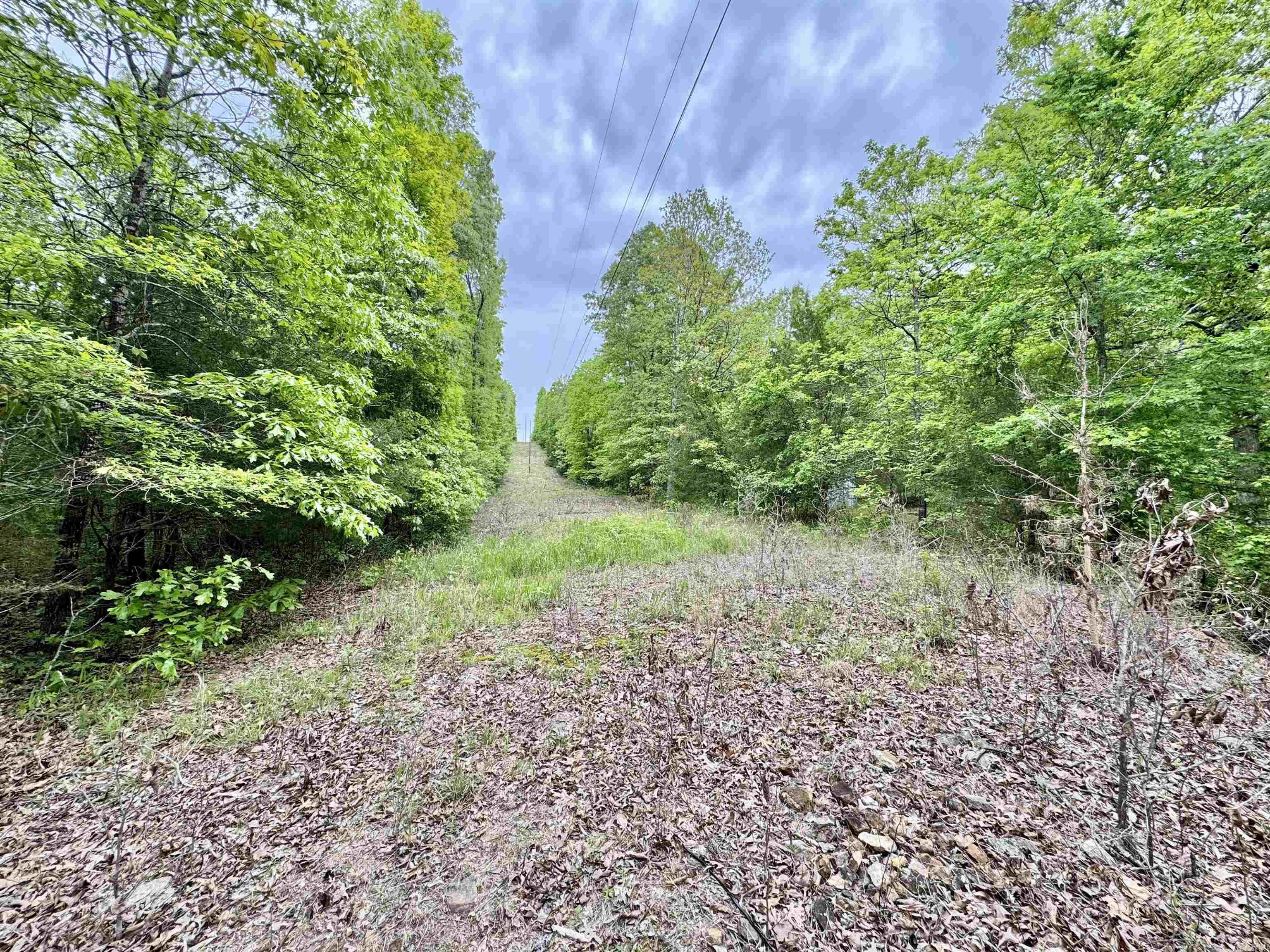 685  Kennedy Rd.  Leslie, AR