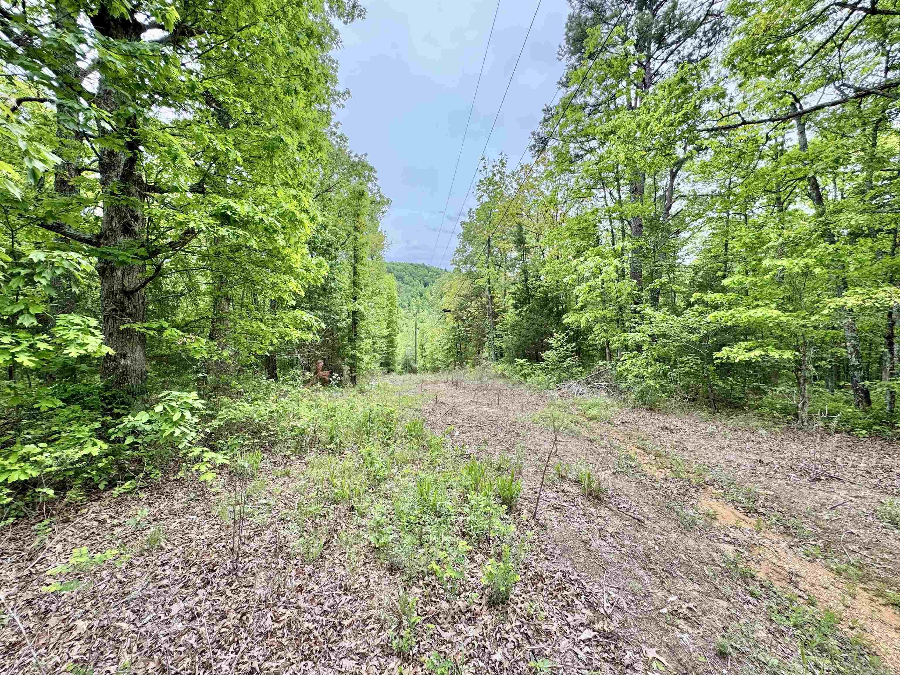685  Kennedy Rd.  Leslie, AR