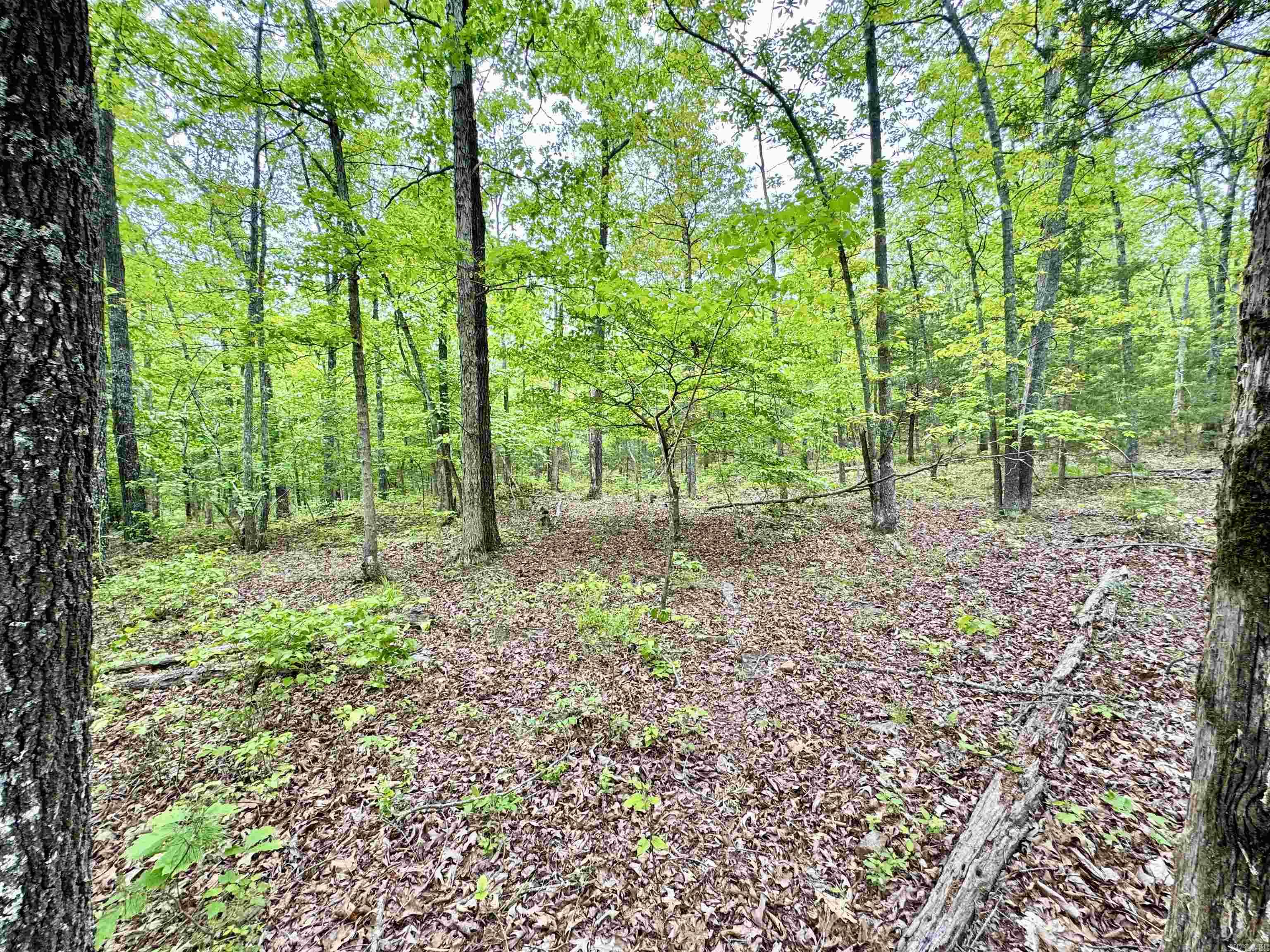 685  Kennedy Rd.  Leslie, AR