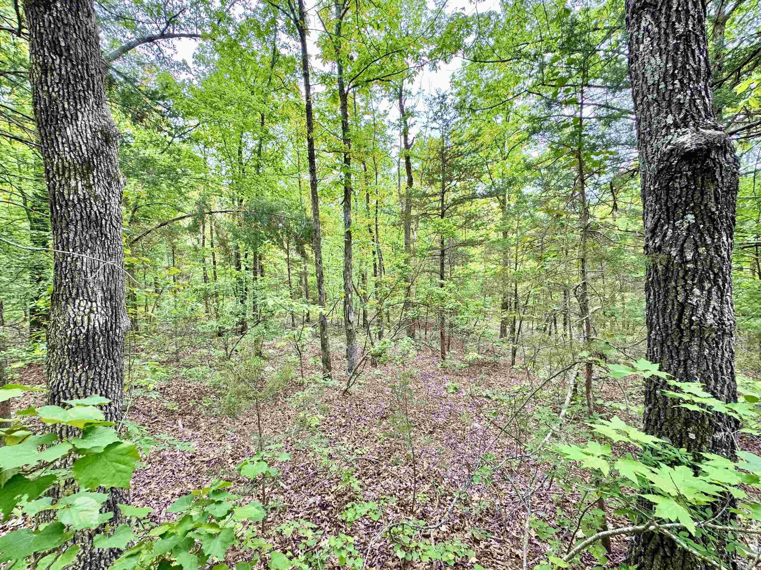685  Kennedy Rd.  Leslie, AR