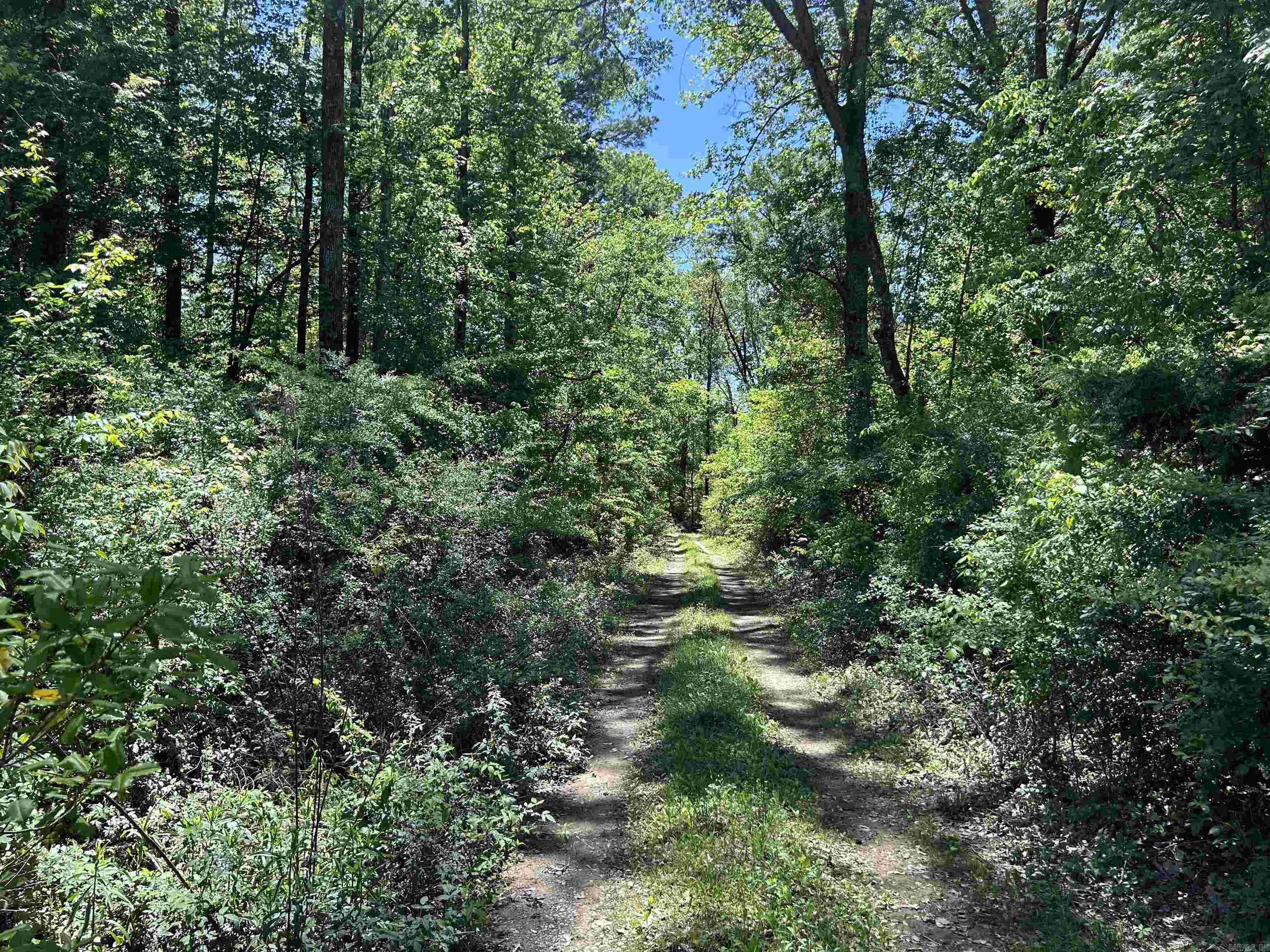 0 W Higway 270  Prattsville, AR