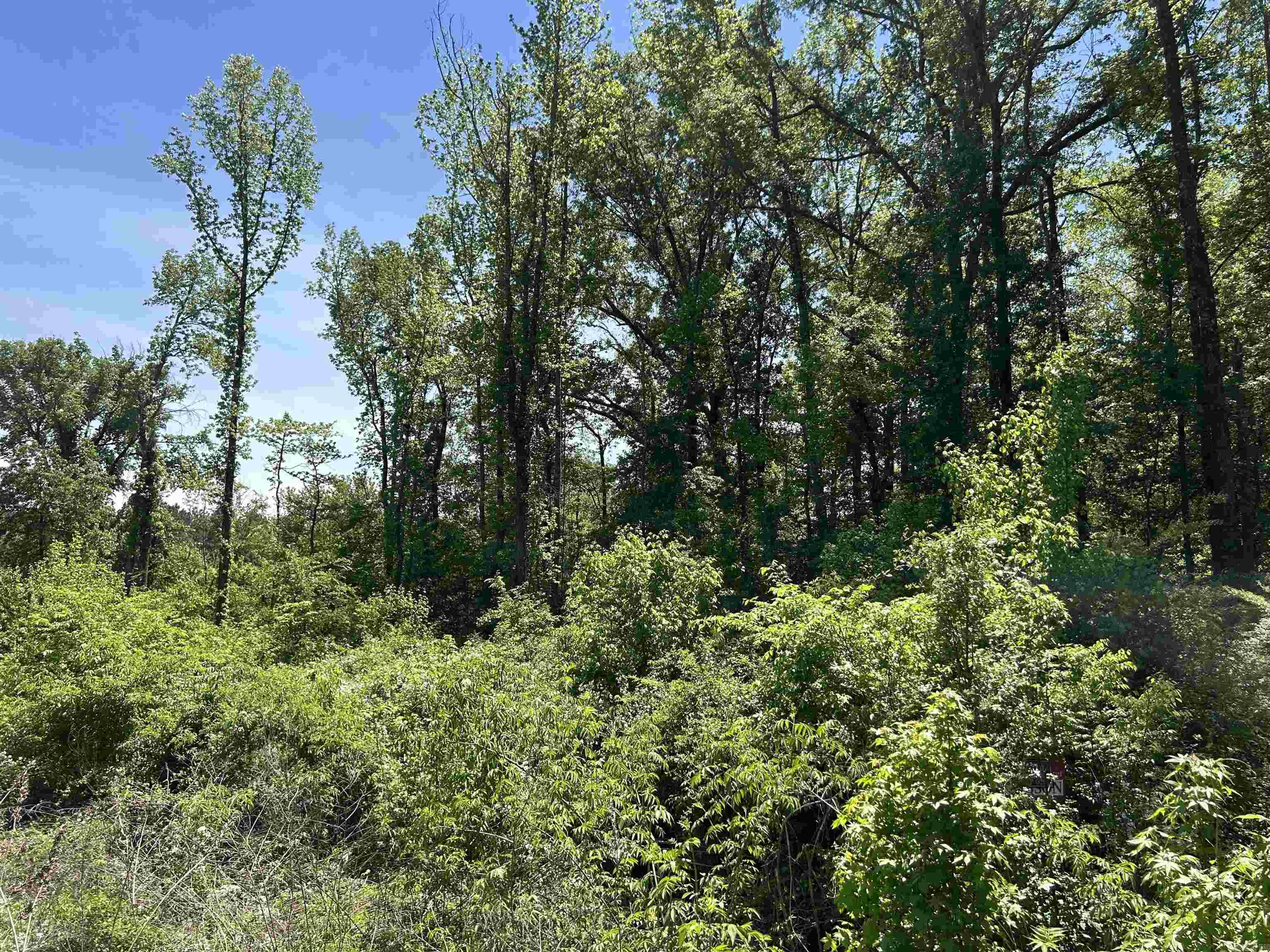0 W Higway 270  Prattsville, AR