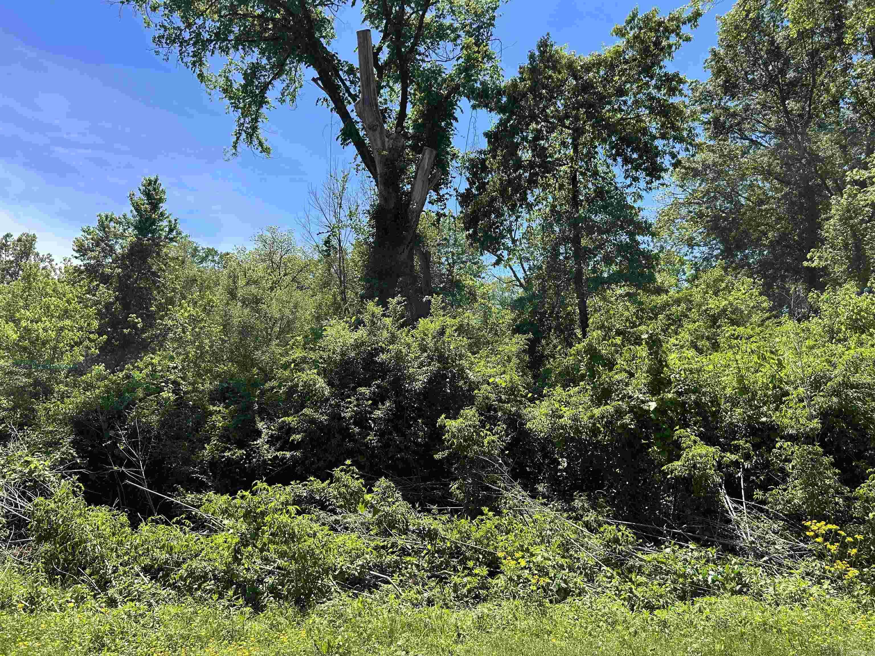 0 W Higway 270  Prattsville, AR