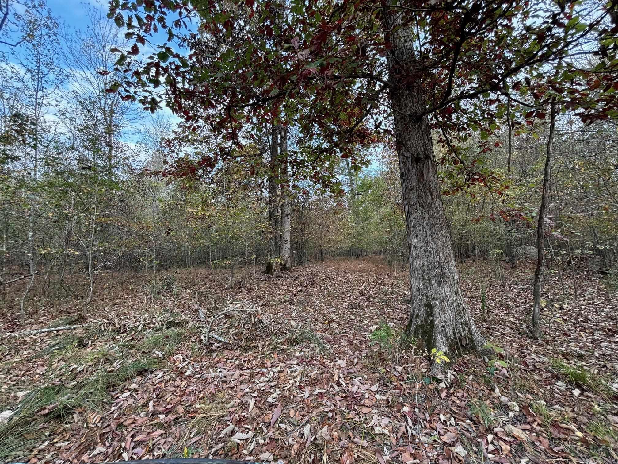 0 W Higway 270  Prattsville, AR