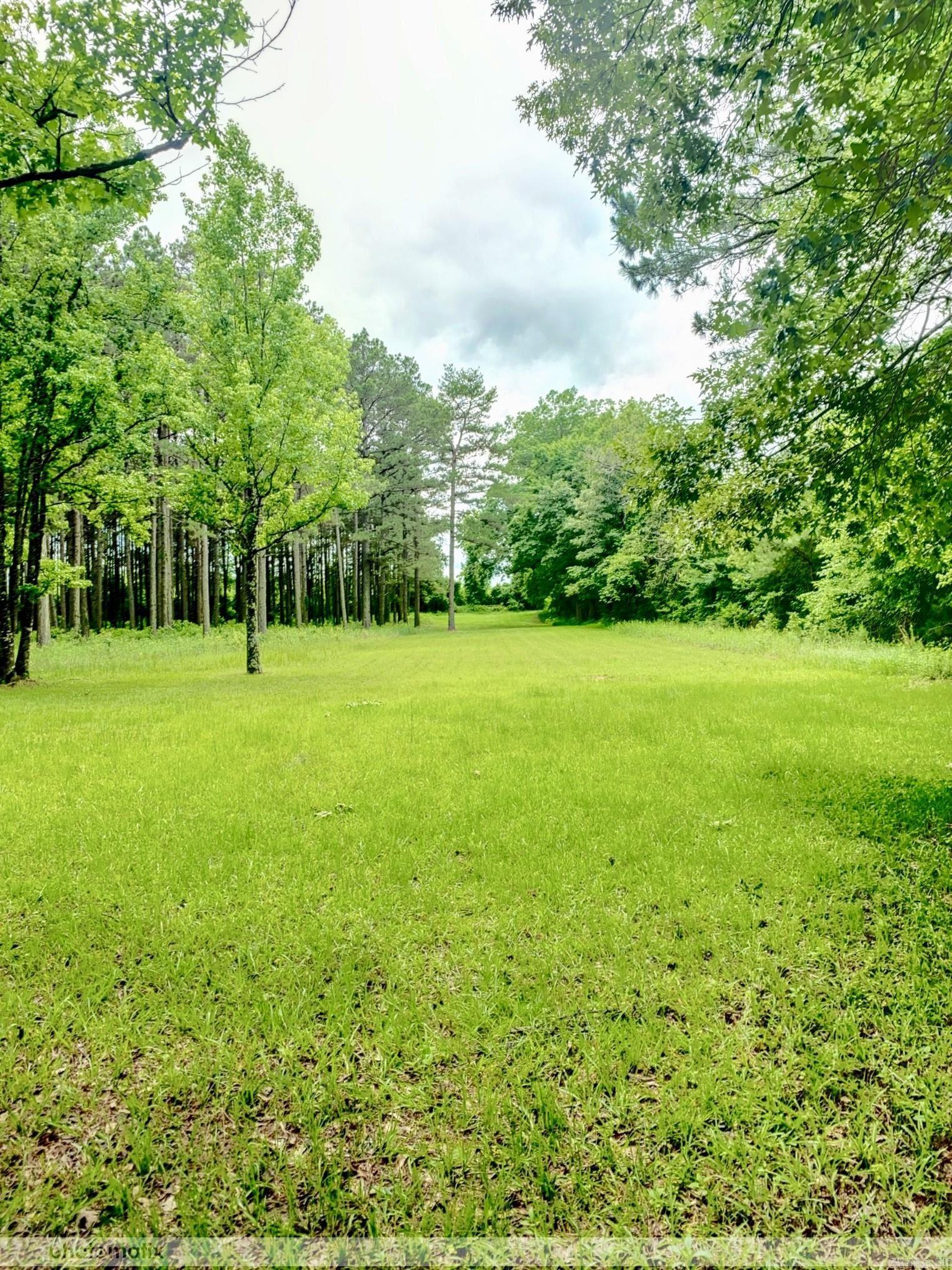 184  14 Bradley road N  Banks, AR