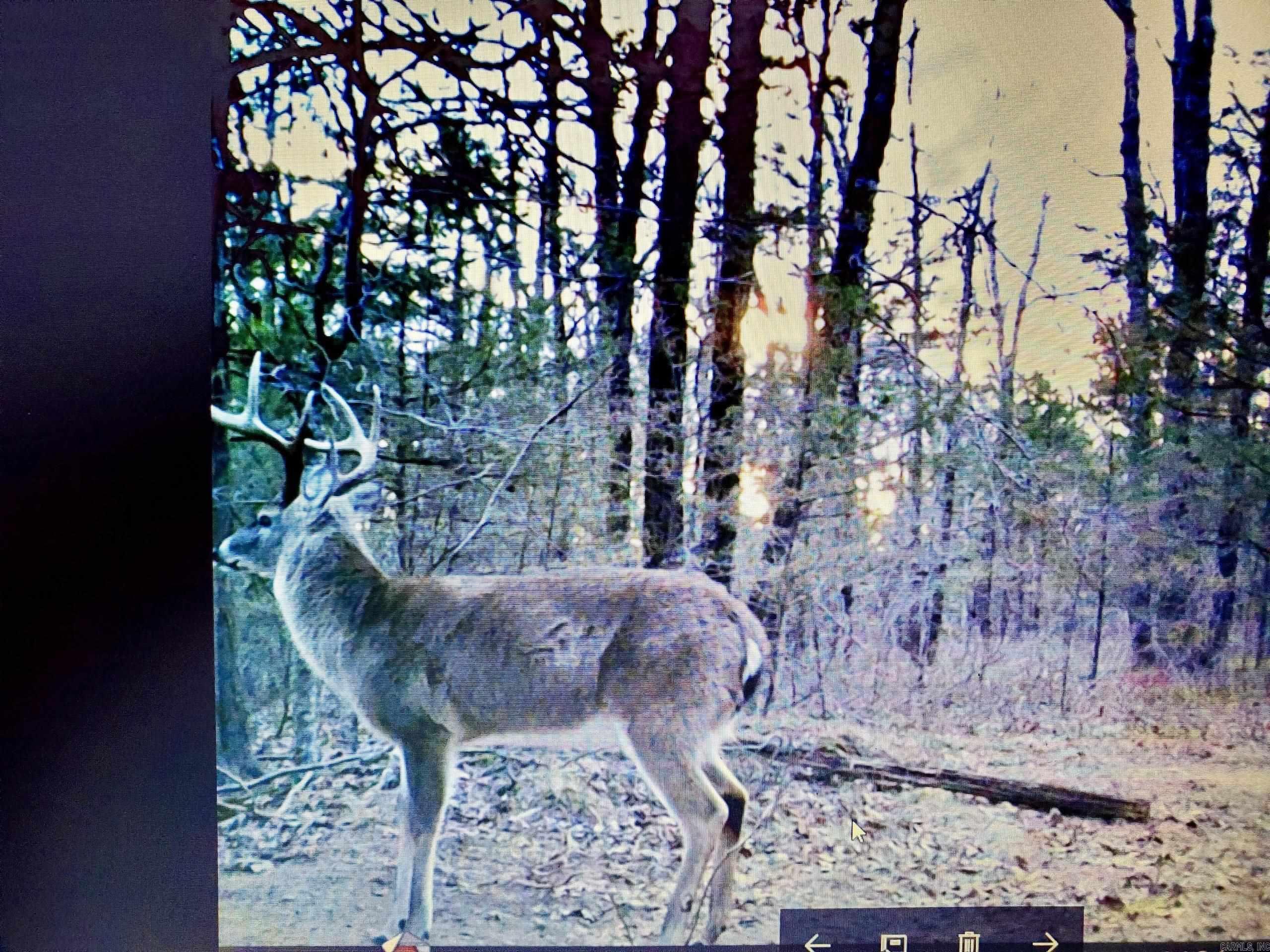 001  Old 7  Dover, AR