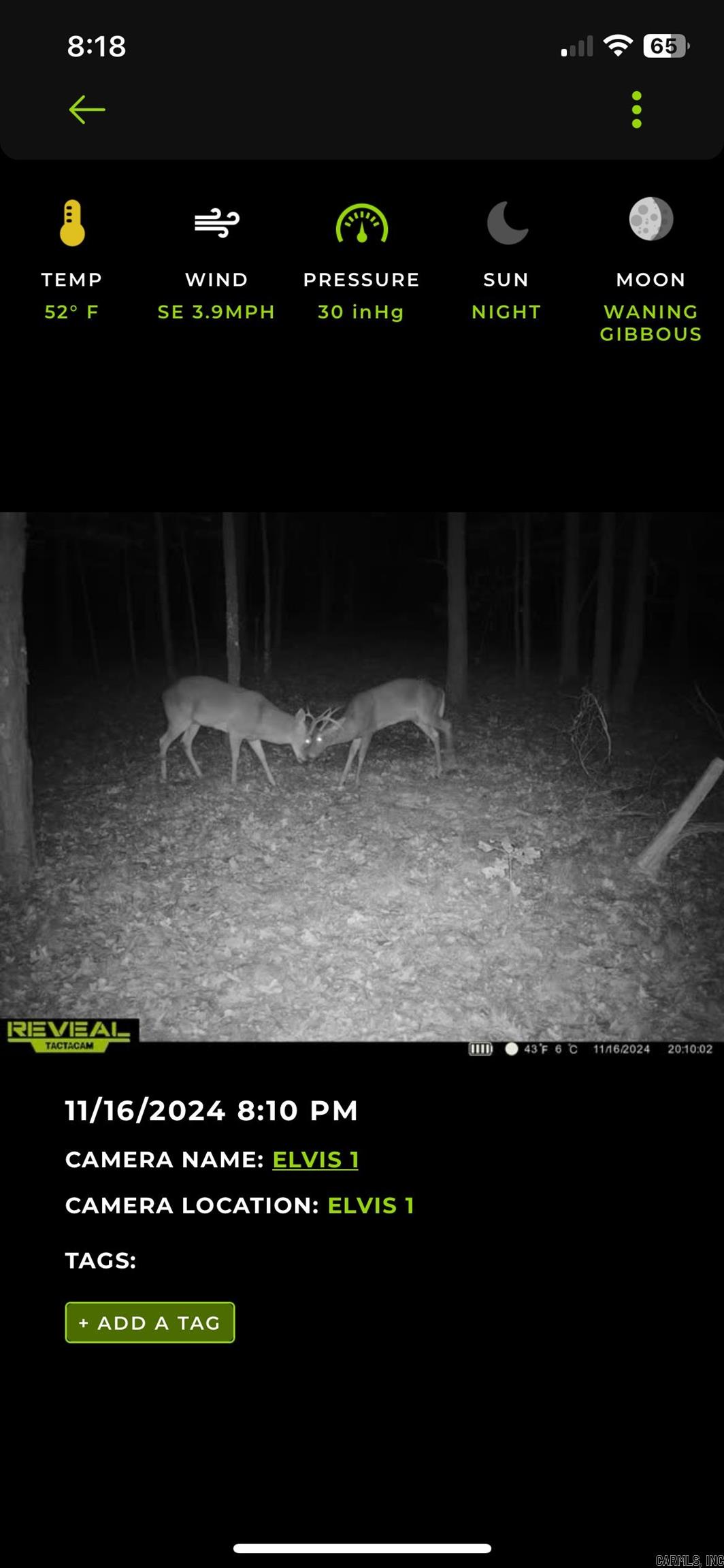 000  Big Creek  Floral, AR