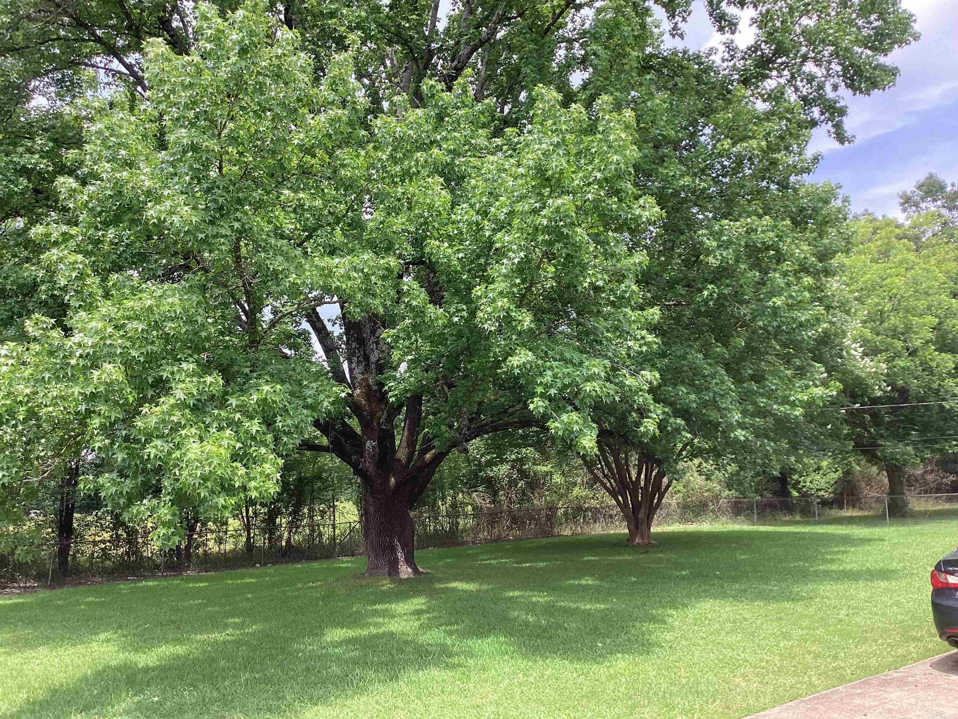 1118 W Ave E  Hope, AR