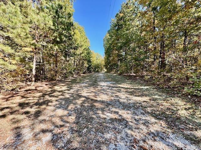 140  Danny  Mountain View, AR
