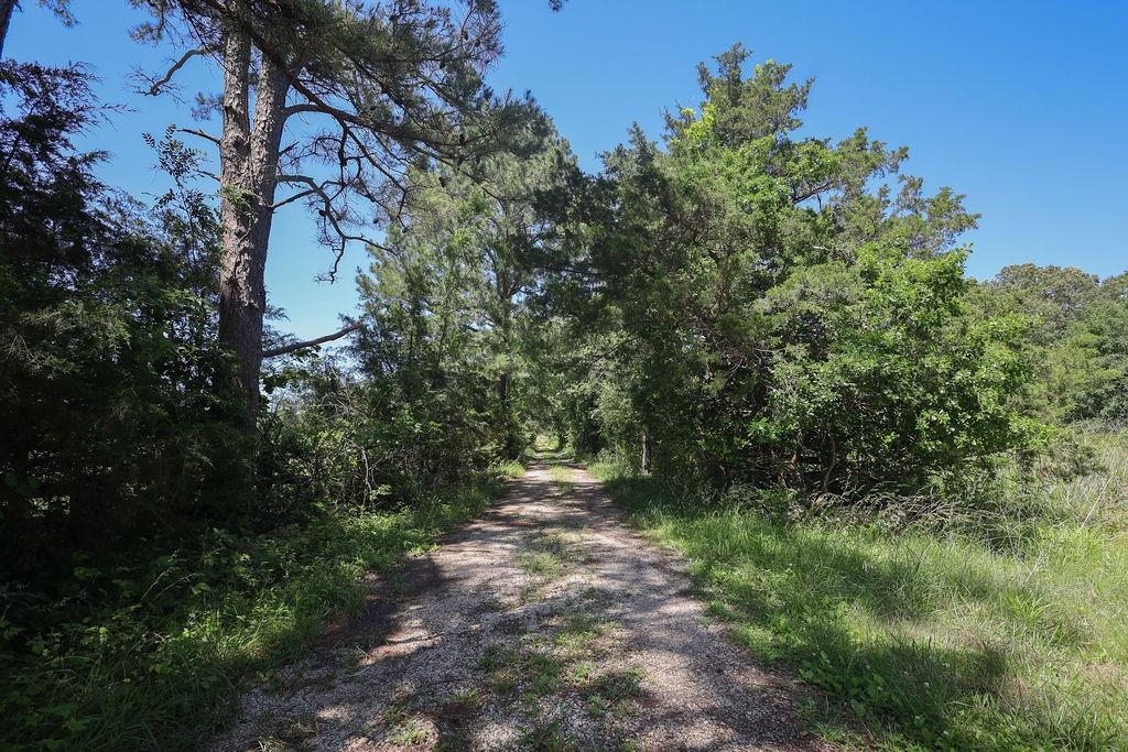 1553  Hwy 63  Williford, AR