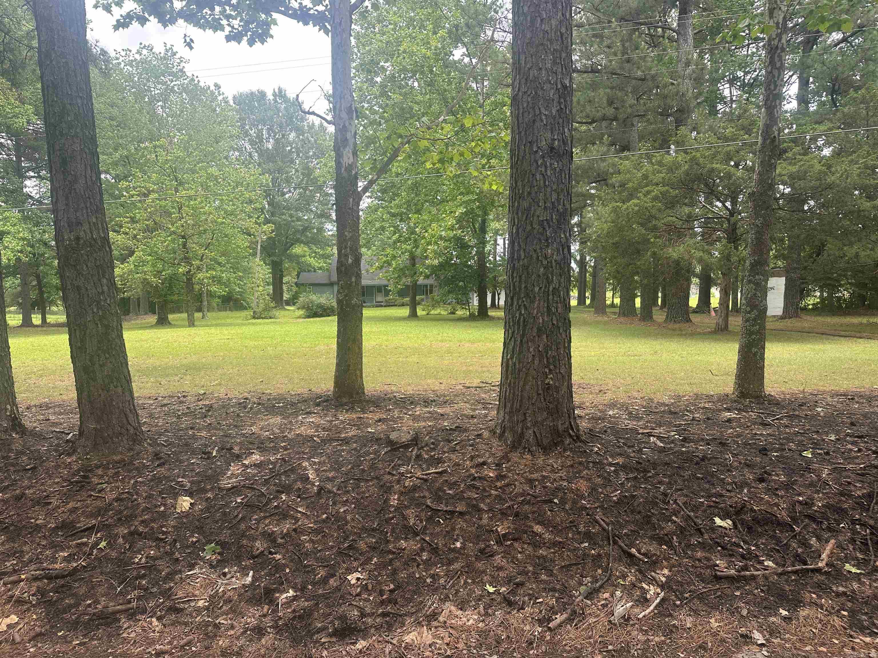 3620  Hwy 319 W  Austin, AR