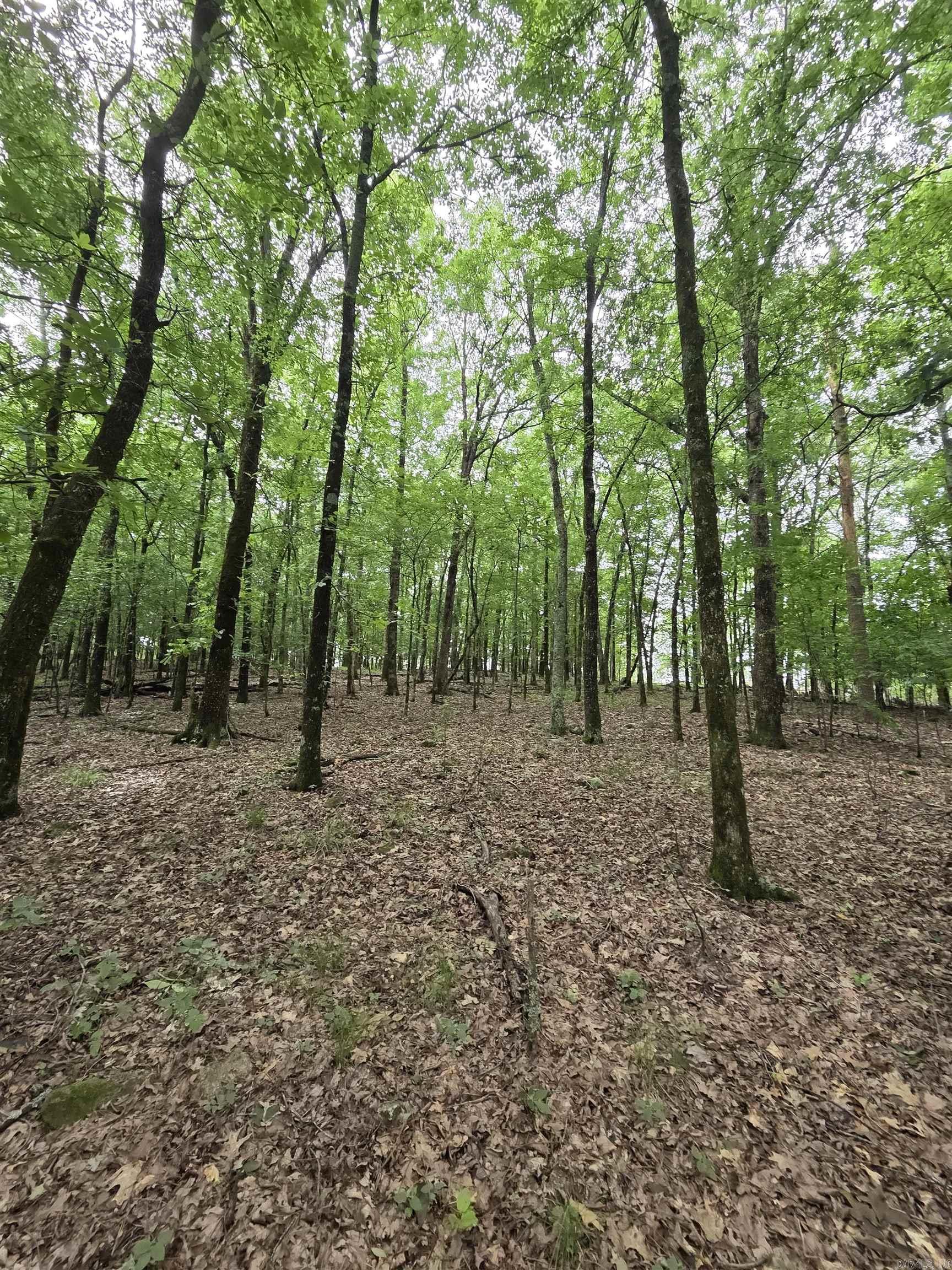 301  Chaparral Lane  Mena, AR