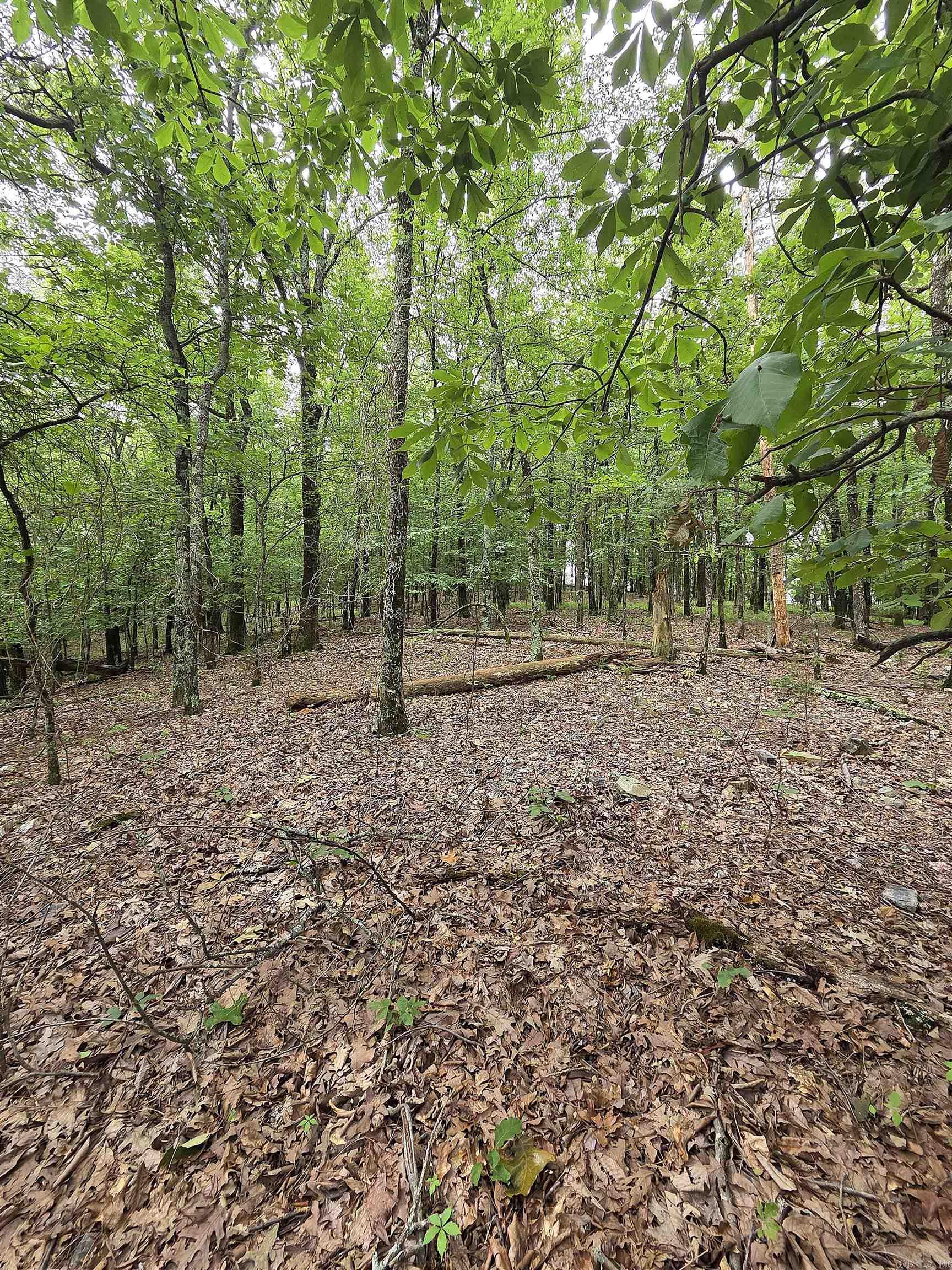 301  Chaparral Lane  Mena, AR