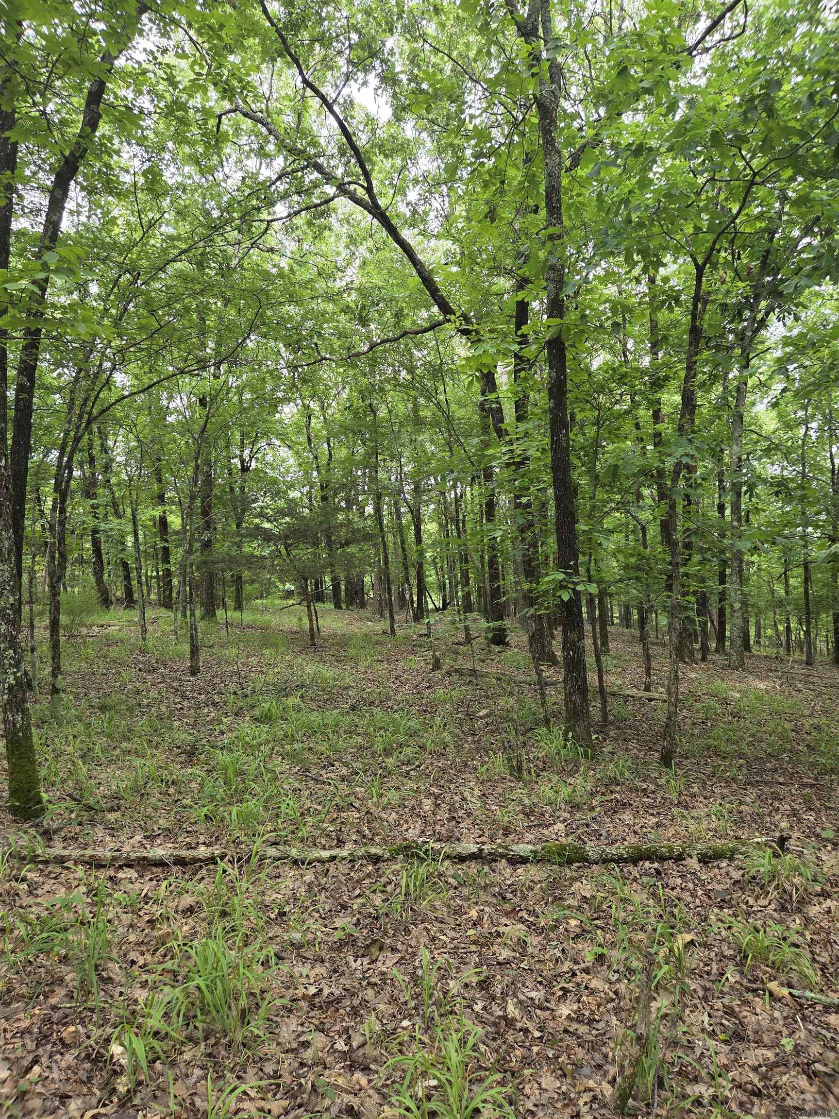 301  Chaparral Lane  Mena, AR