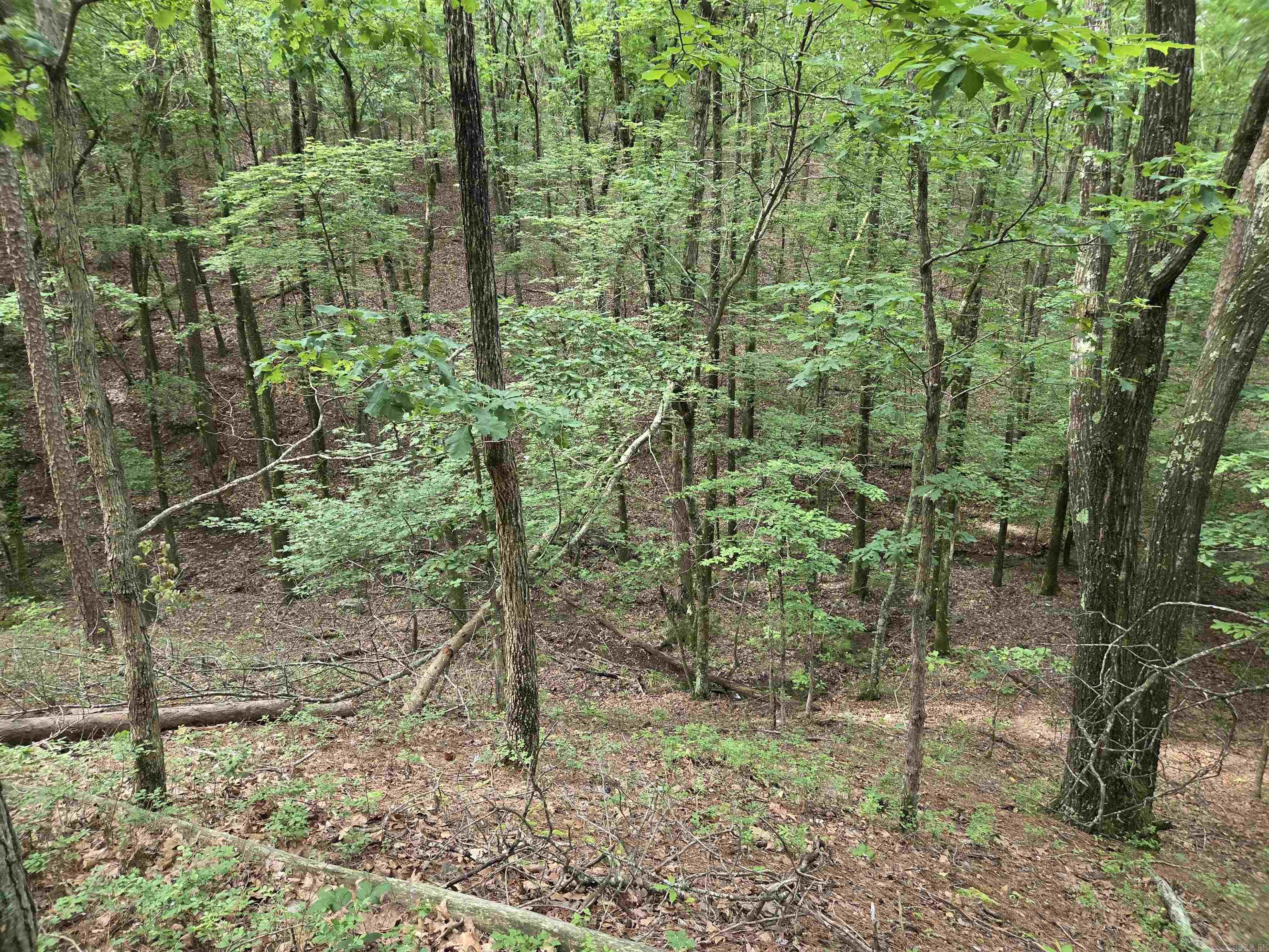301  Chaparral Lane  Mena, AR